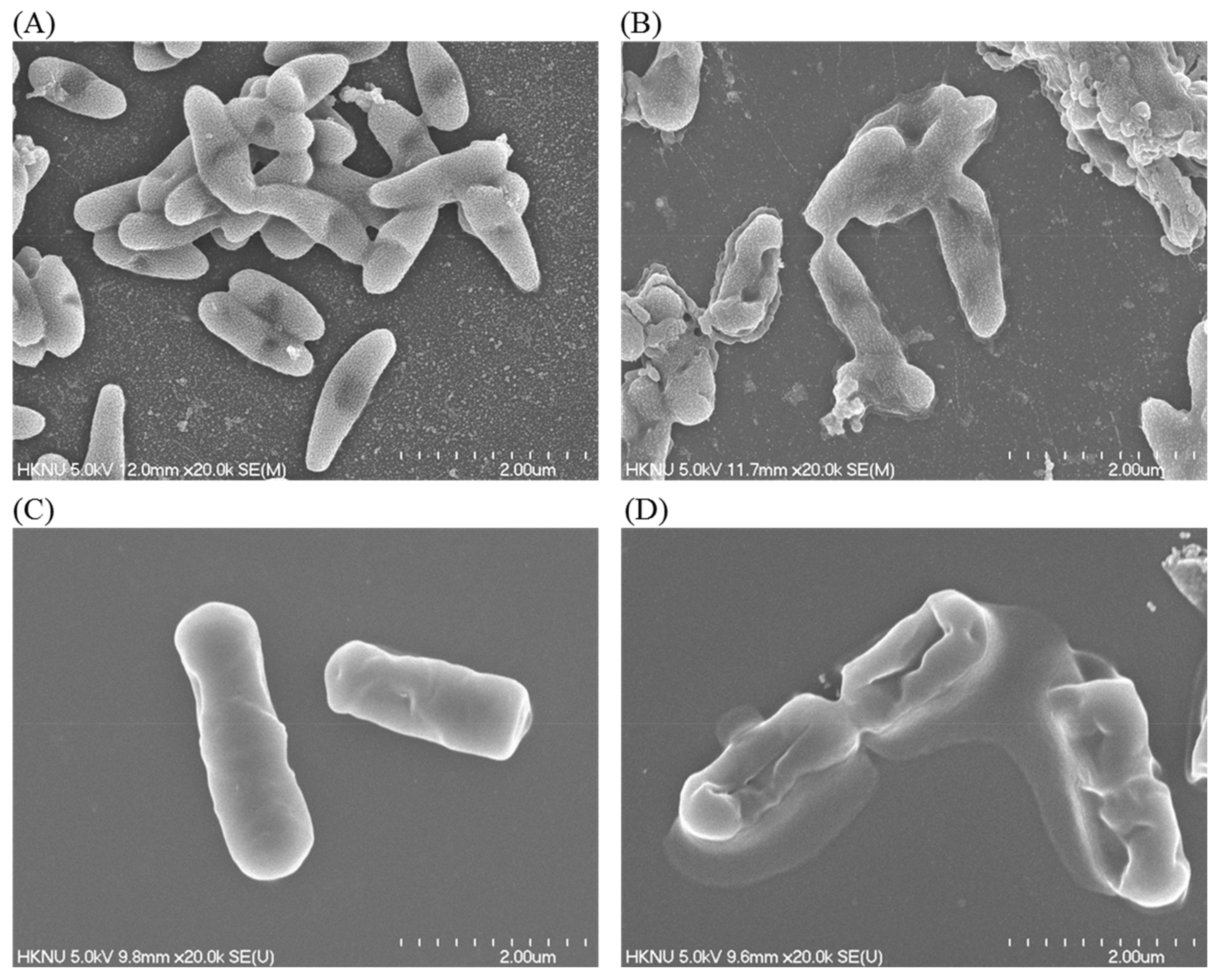 Materials 14 02615 g010