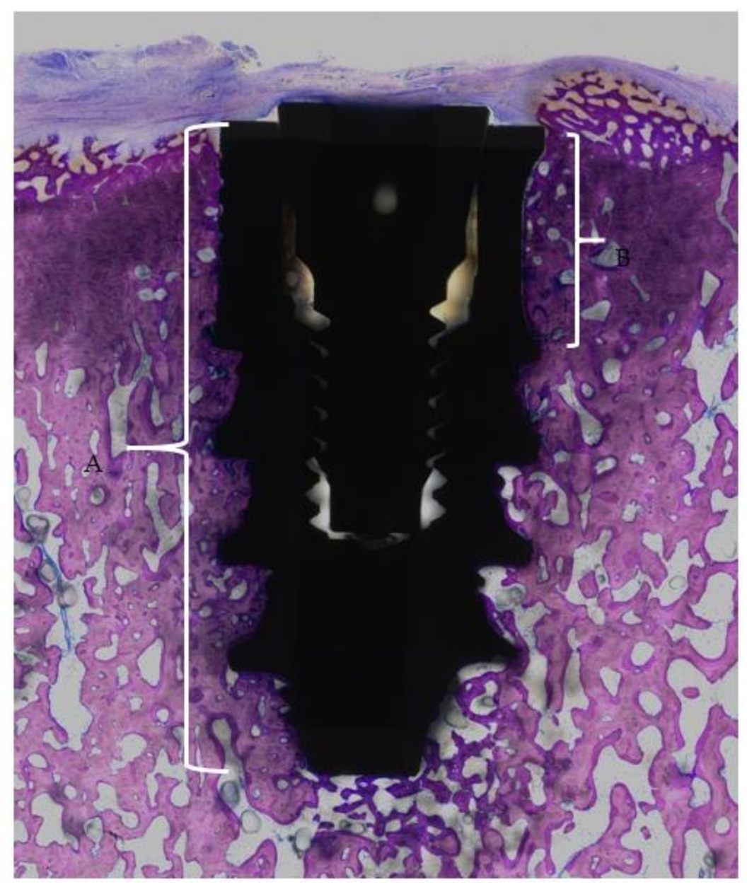 Materials 14 02645 g003