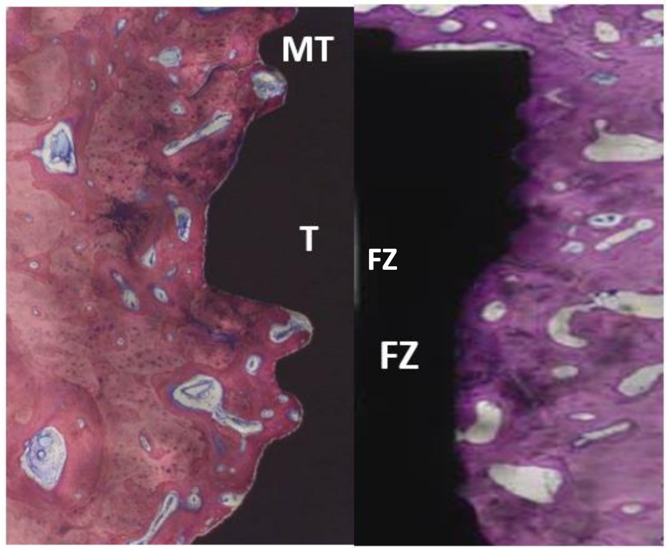 Materials 14 02645 g004