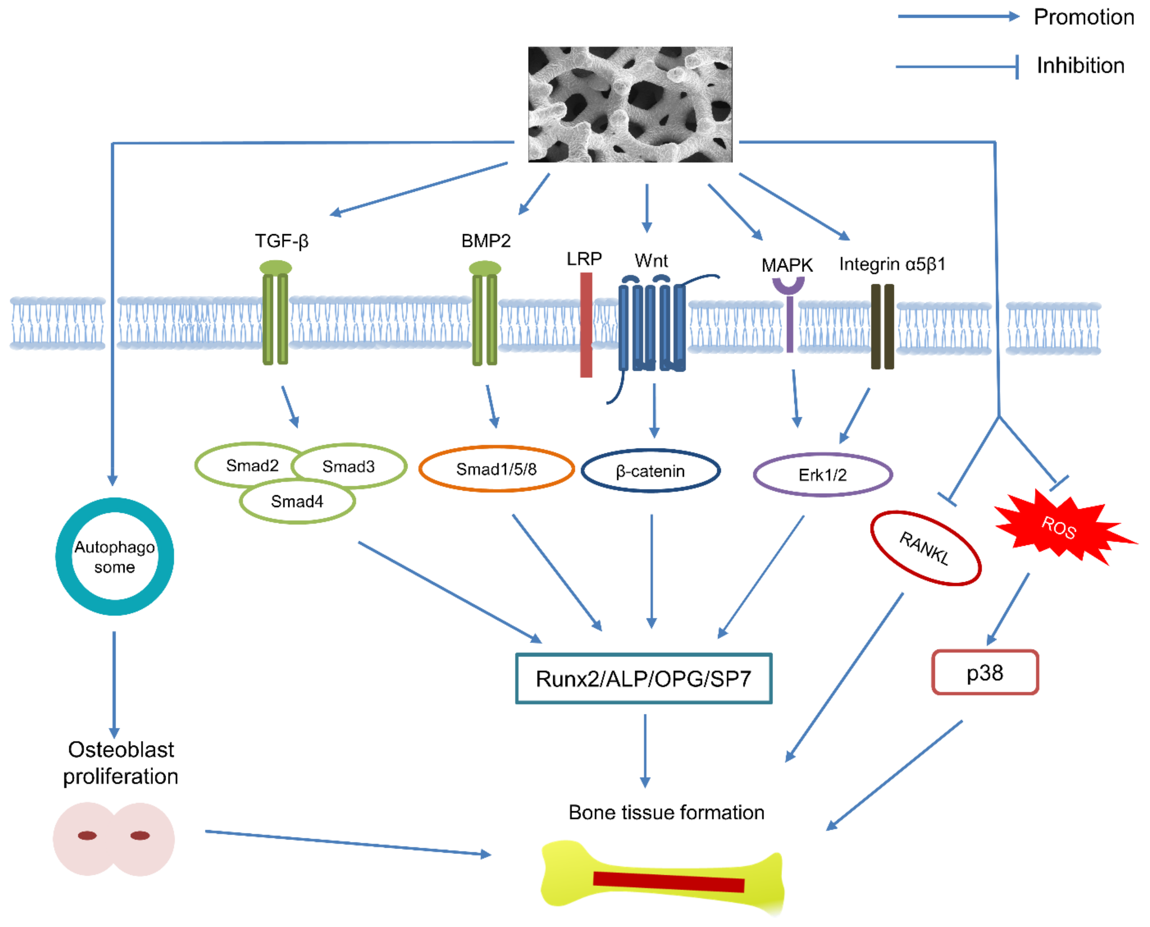Materials 14 02647 g001