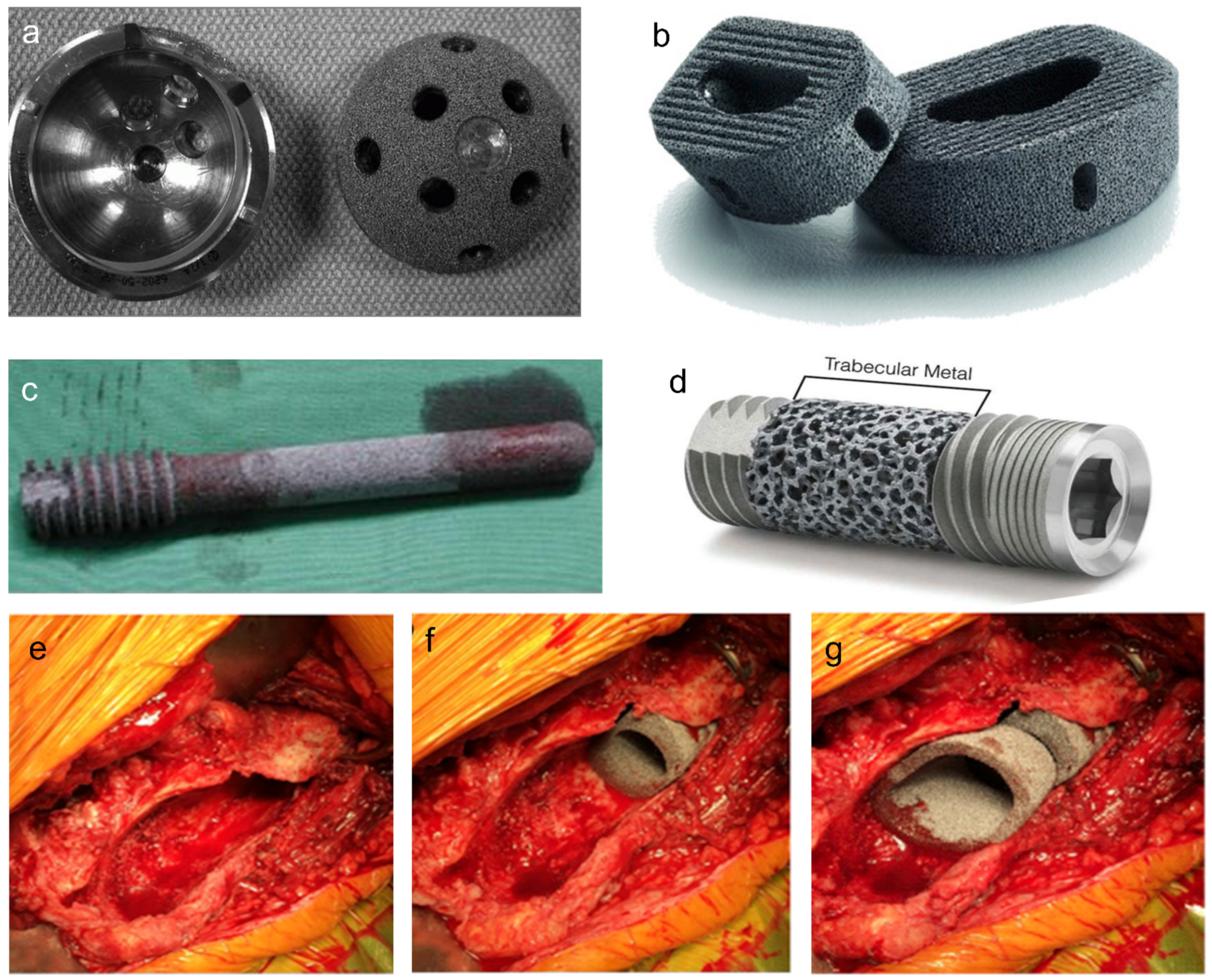 Materials 14 02647 g004