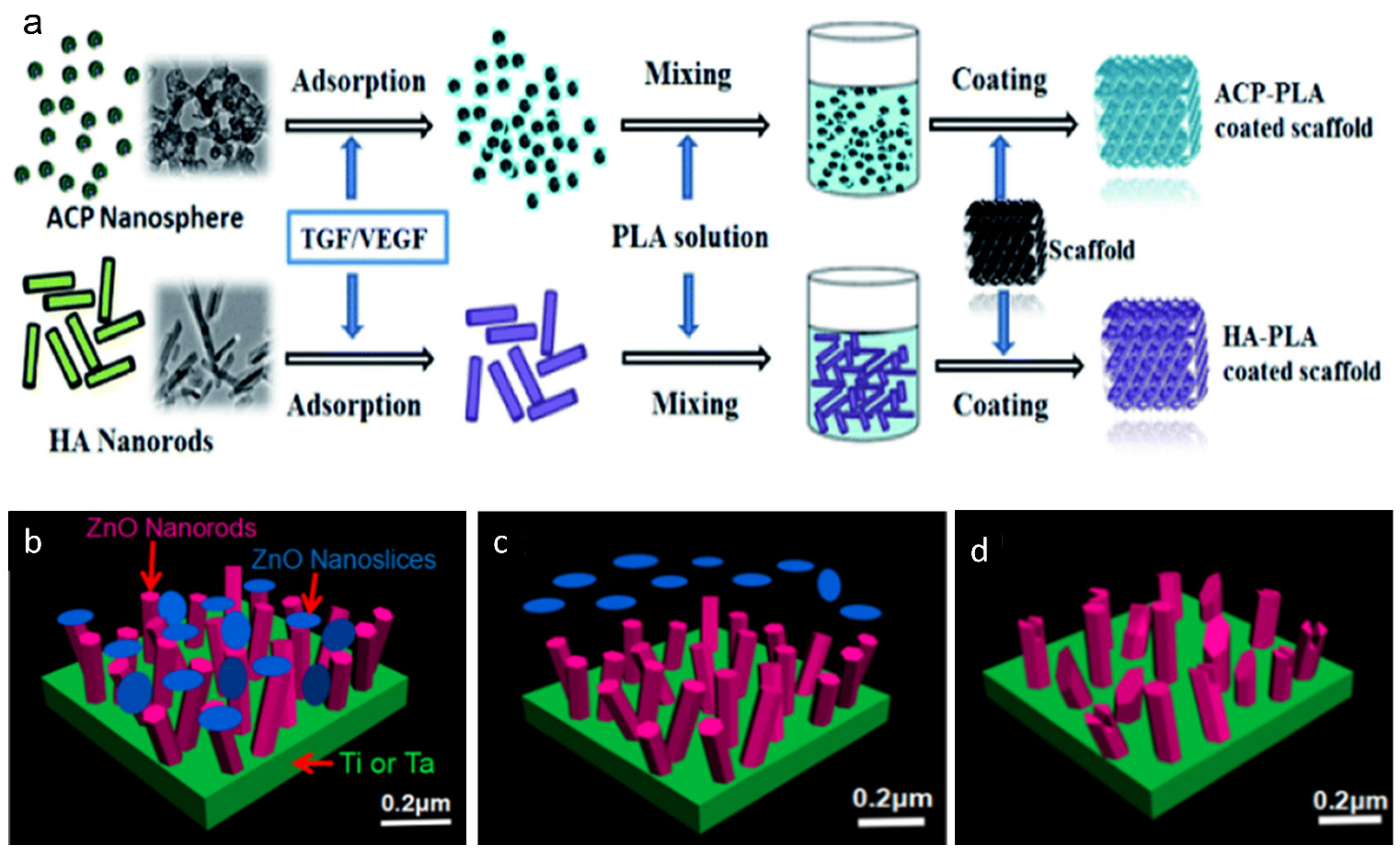 Materials 14 02647 g007