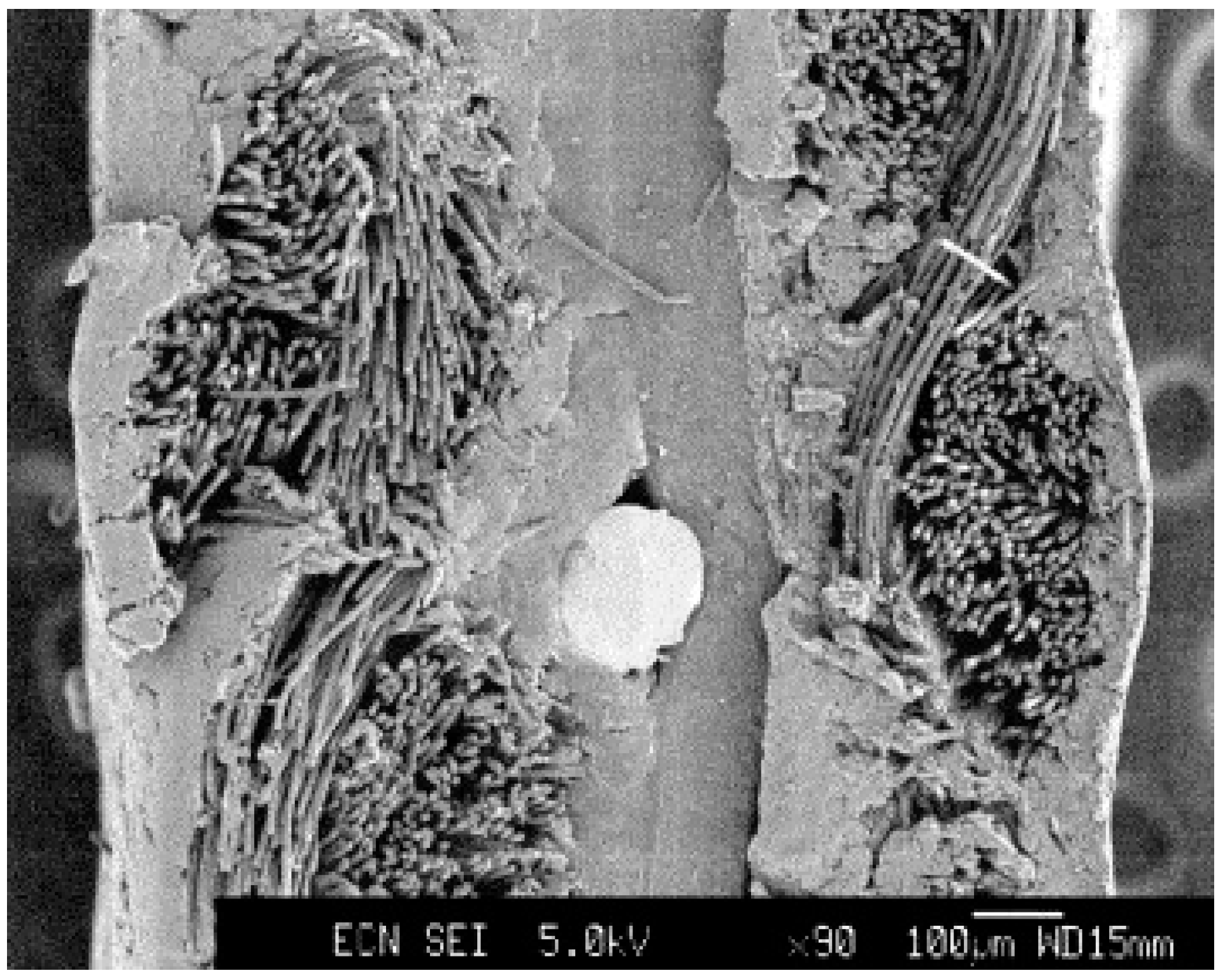 Materials 14 02682 g004