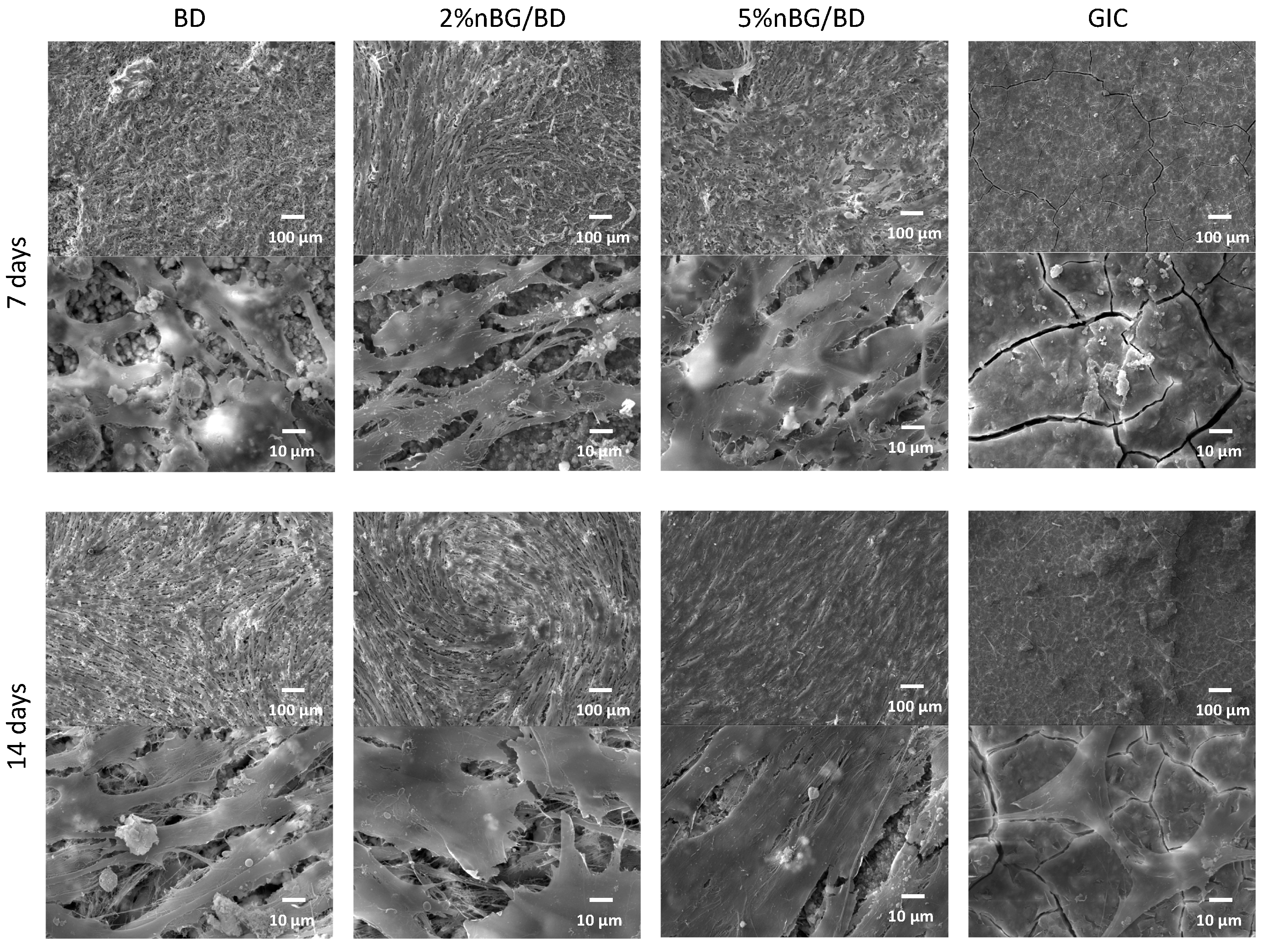 Materials 14 02684 g003