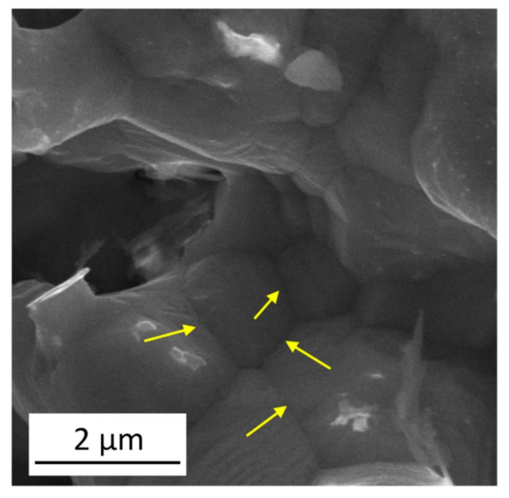 Materials 14 02691 g004