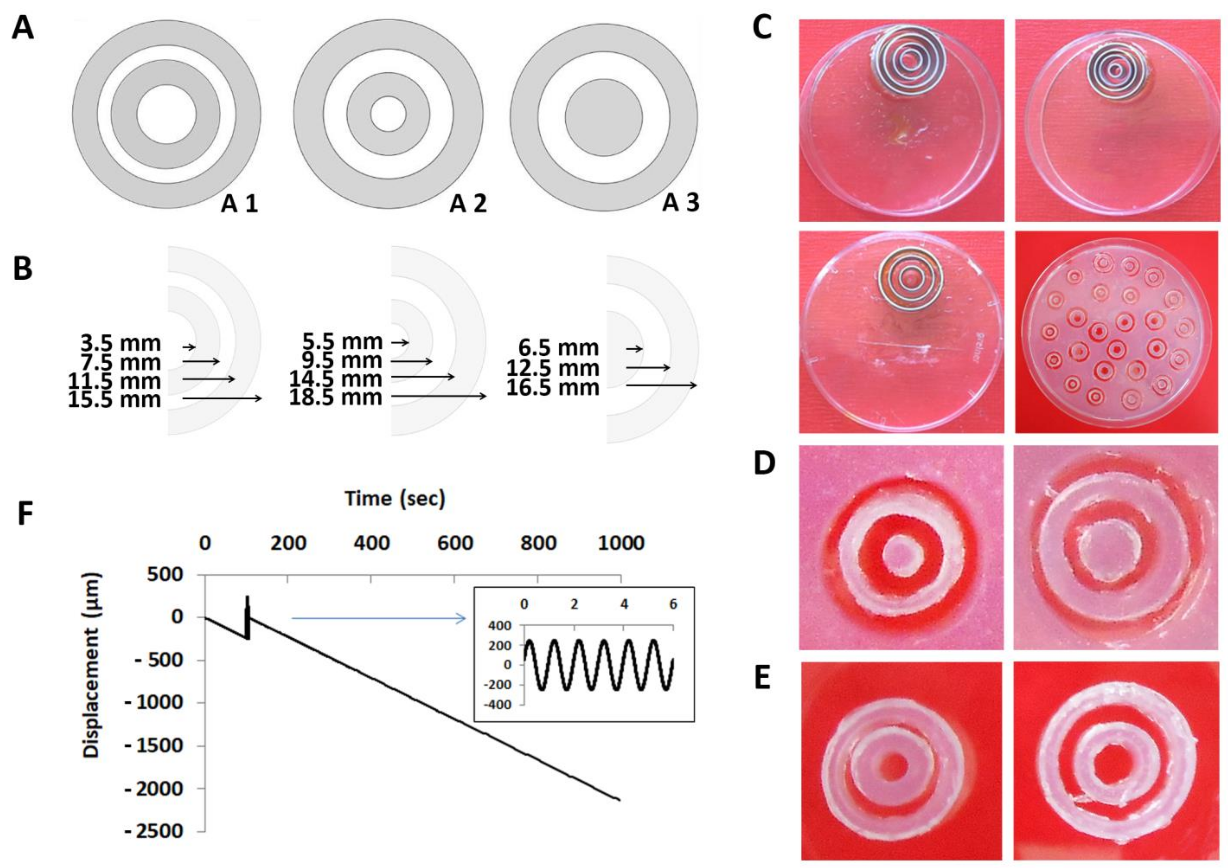 Materials 14 02692 g001