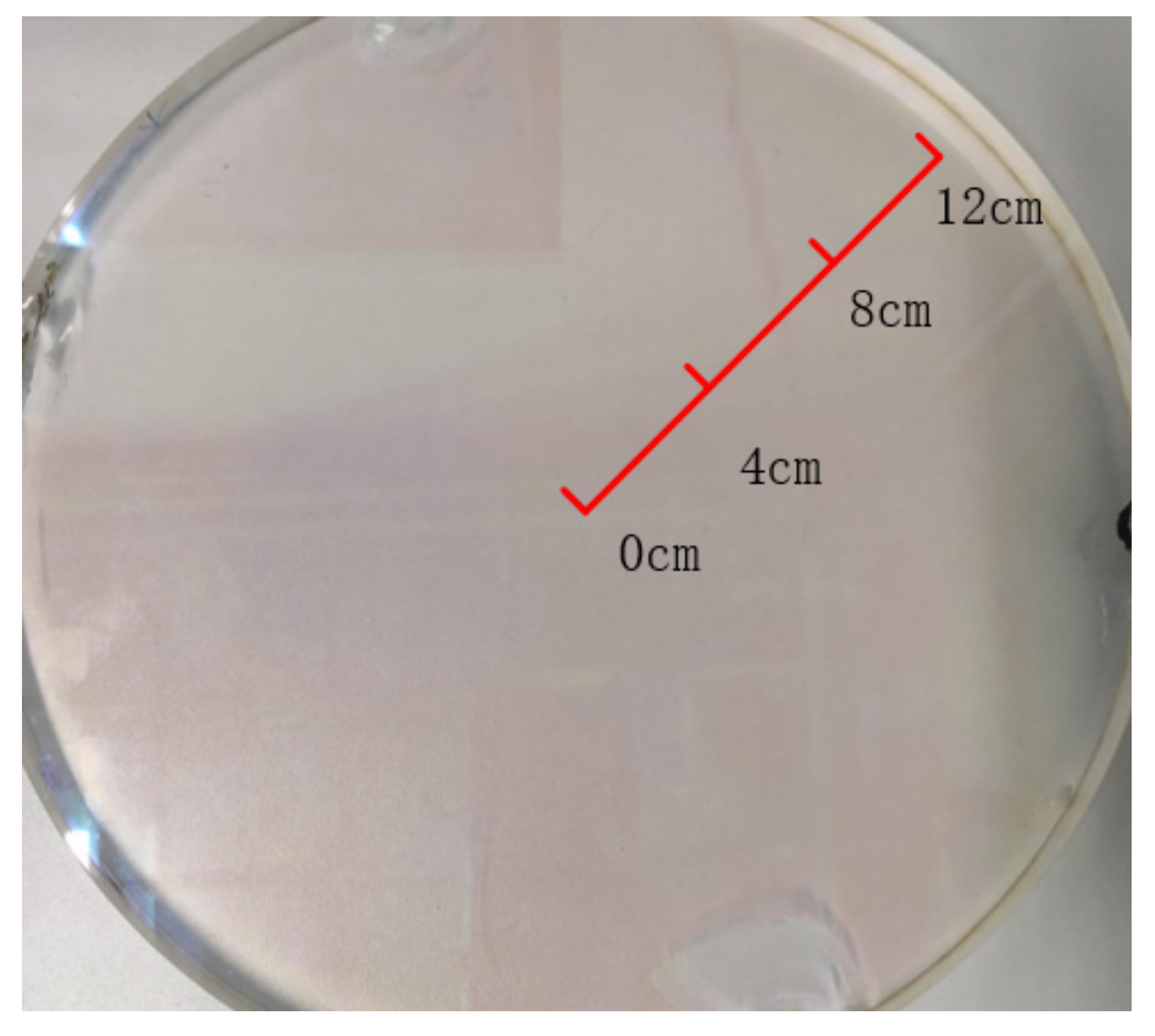 Materials 14 02702 g002