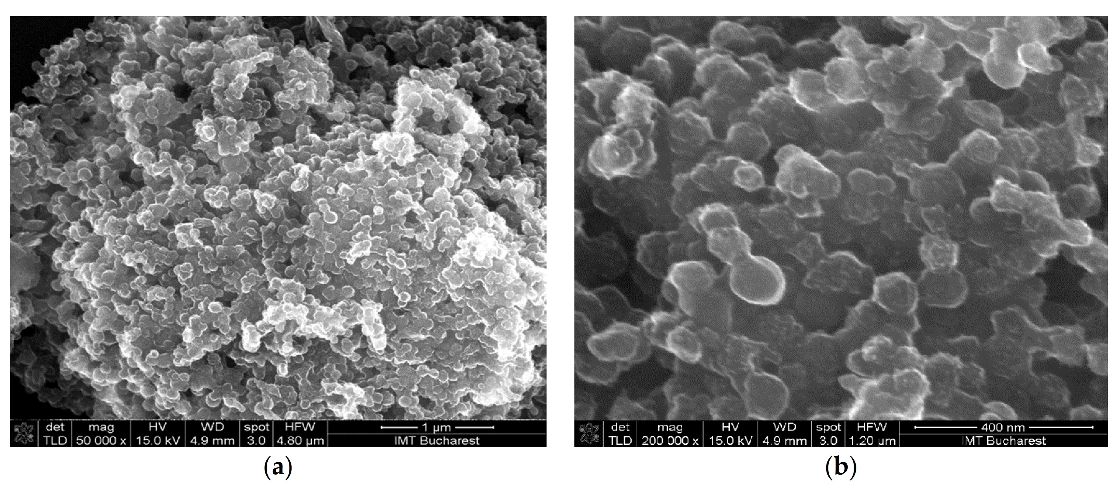 Materials 14 02705 g006