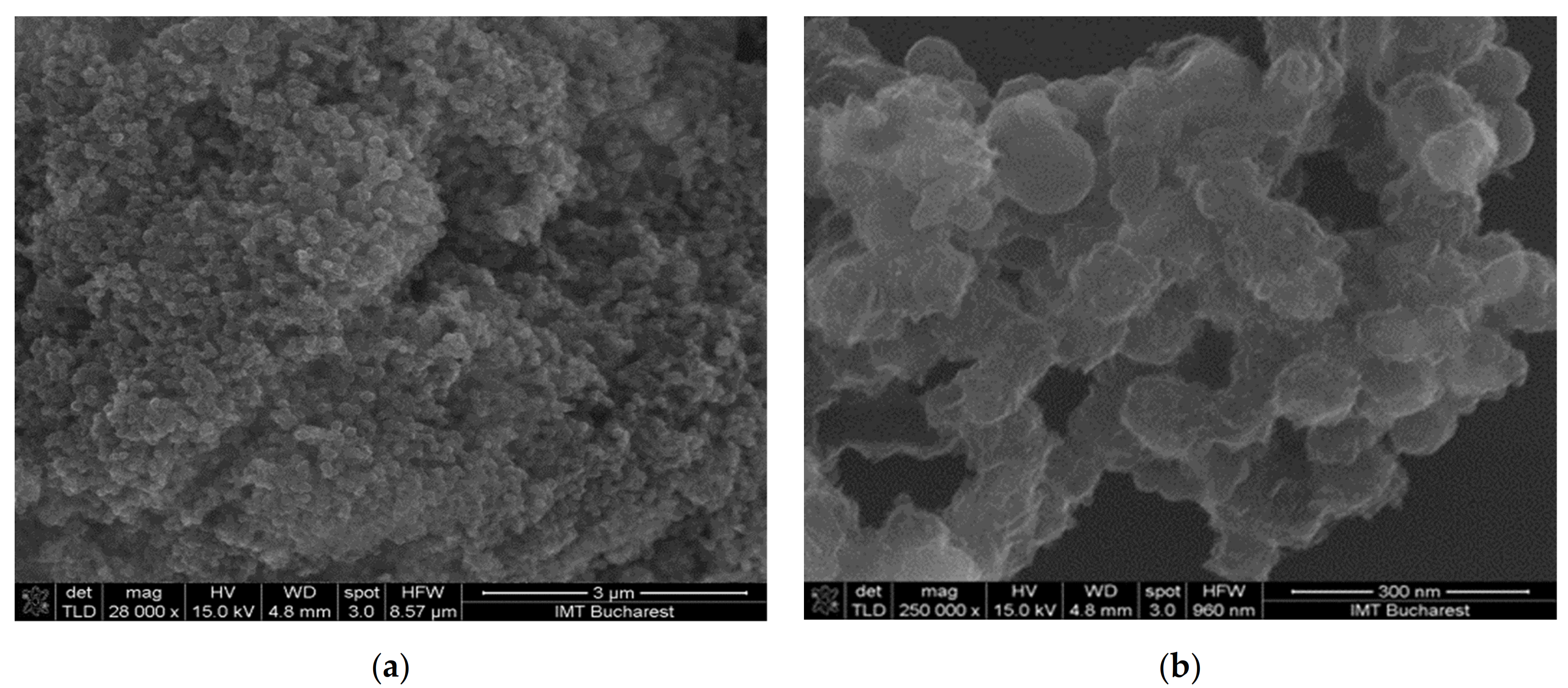 Materials 14 02705 g008