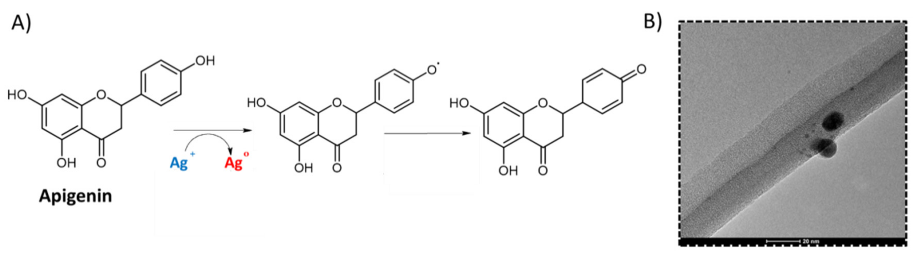 Materials 14 02724 g004