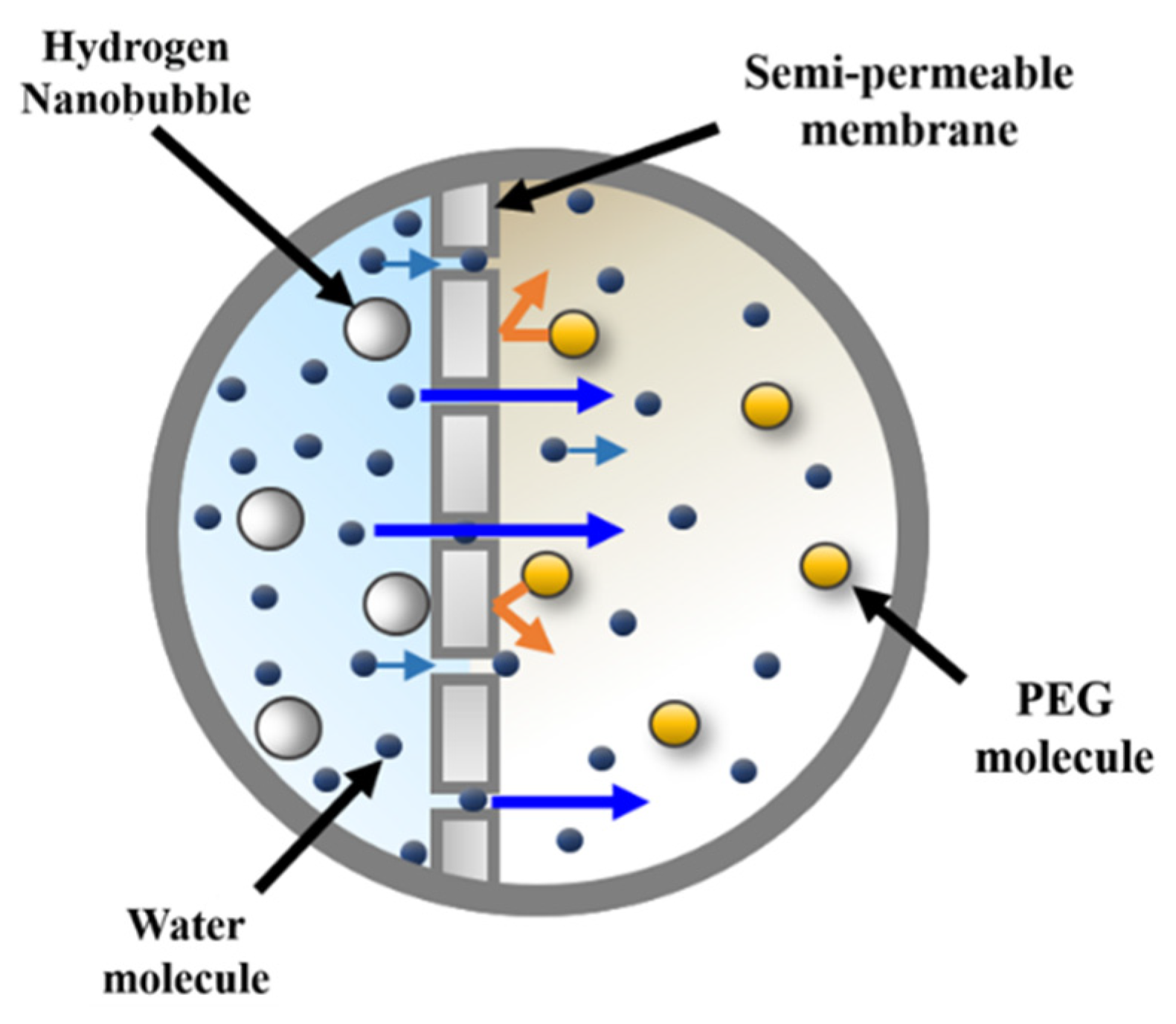 Materials 14 02735 g001