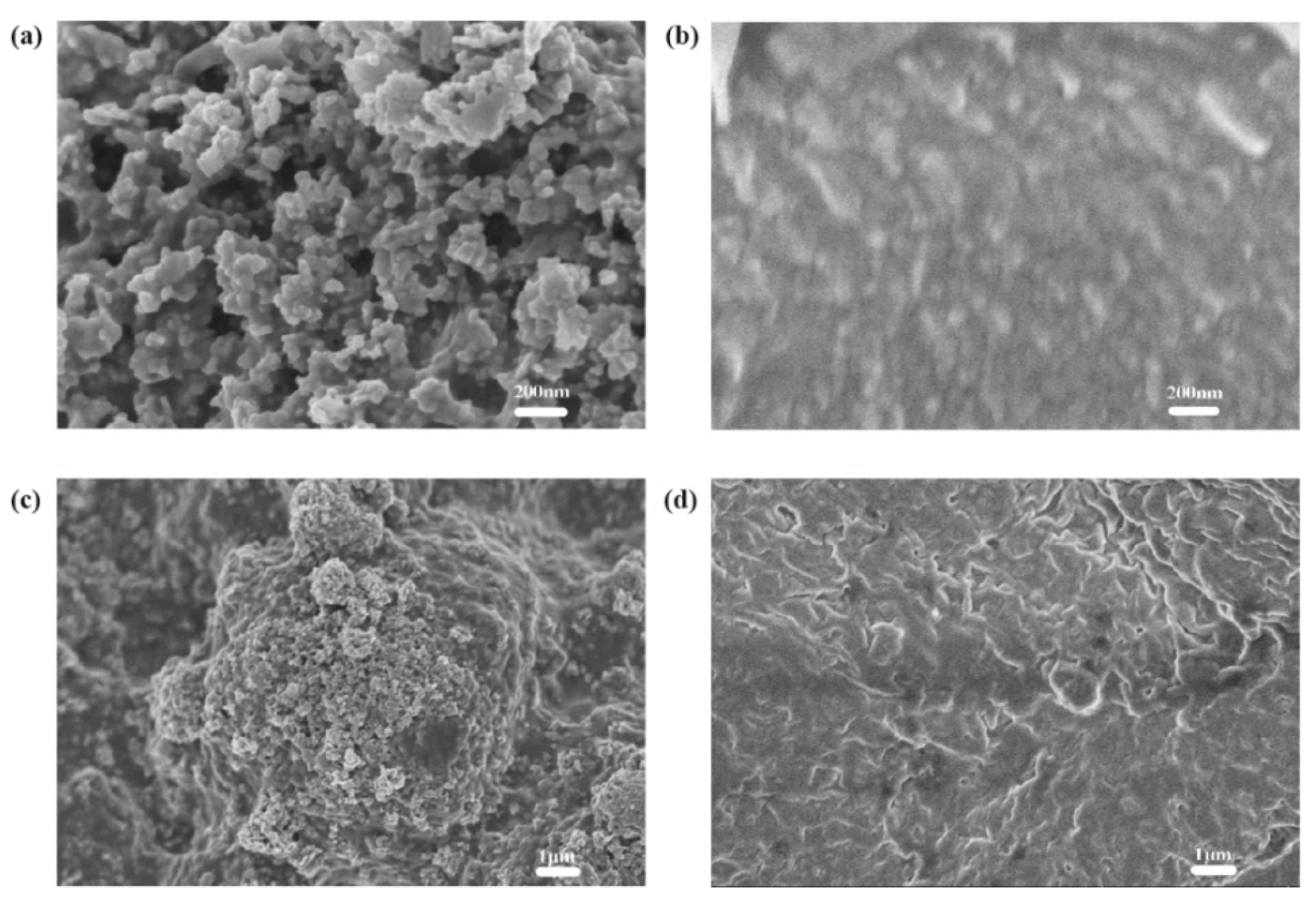 Materials 14 02748 g004 Materials 14 02748 g004