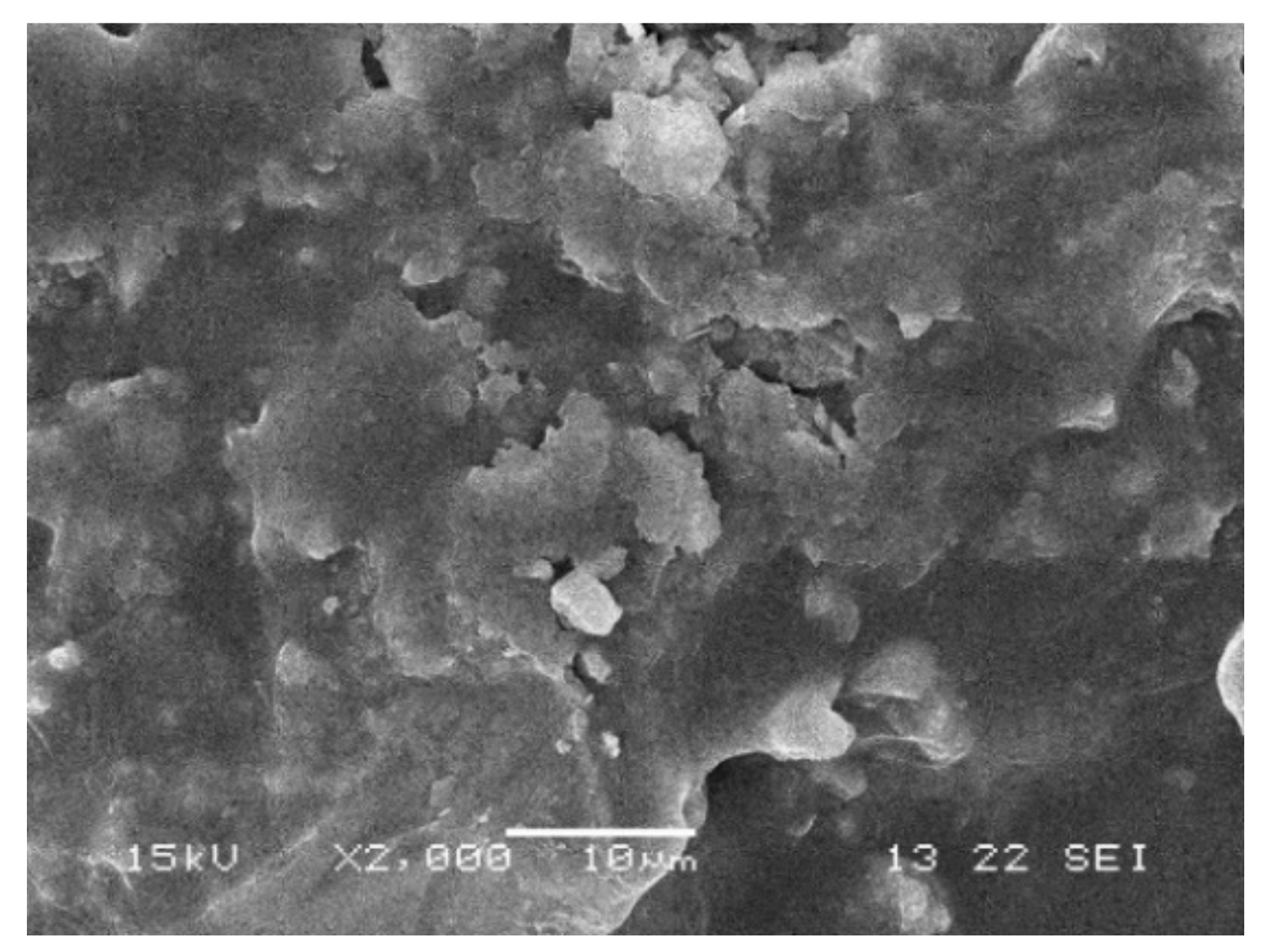 Materials 14 02779 g010