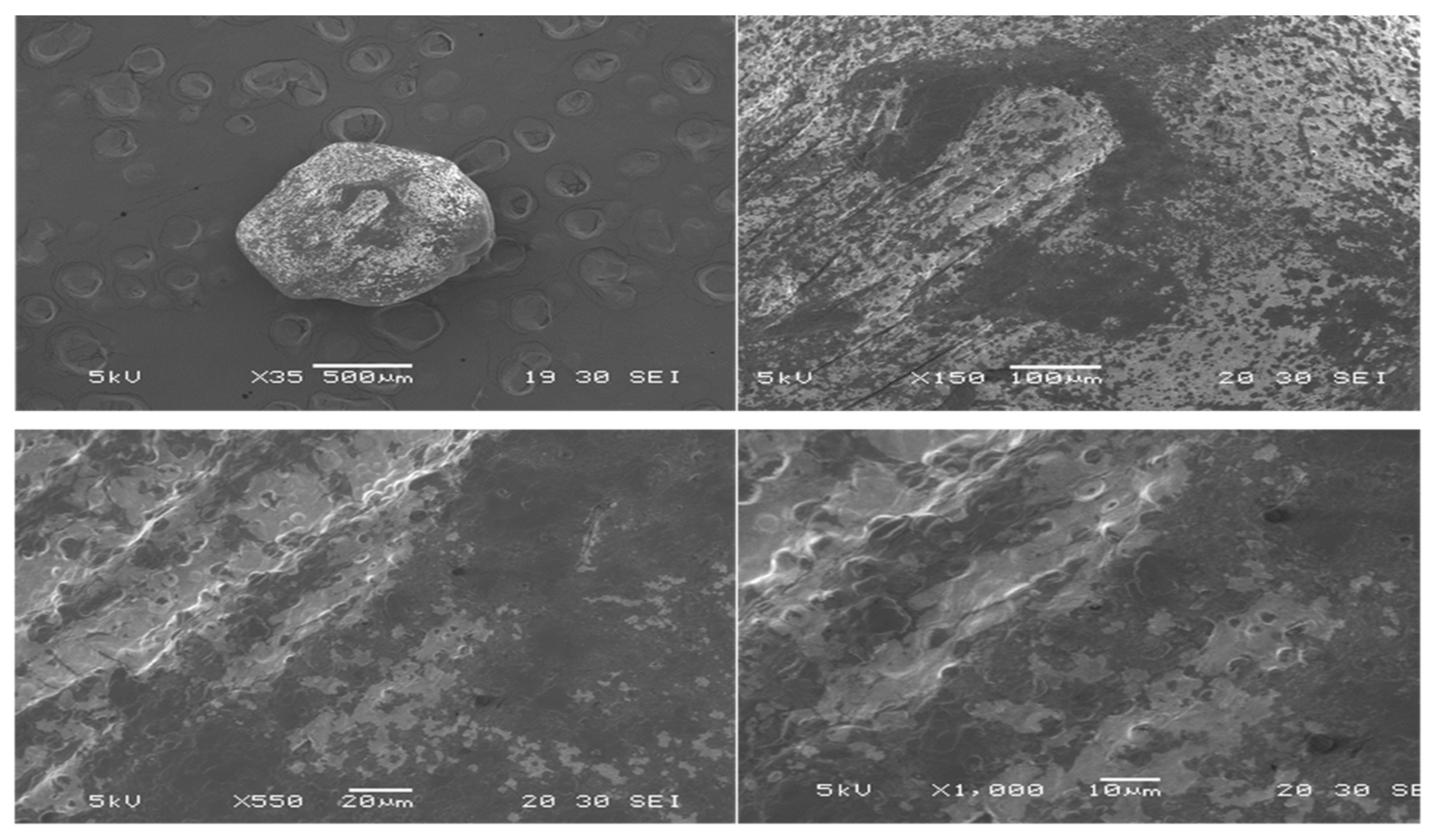 Materials 14 02783 g002 Materials 14 02783 g002