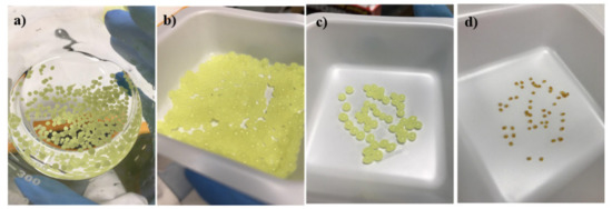 Materials 14 02783 g0a2