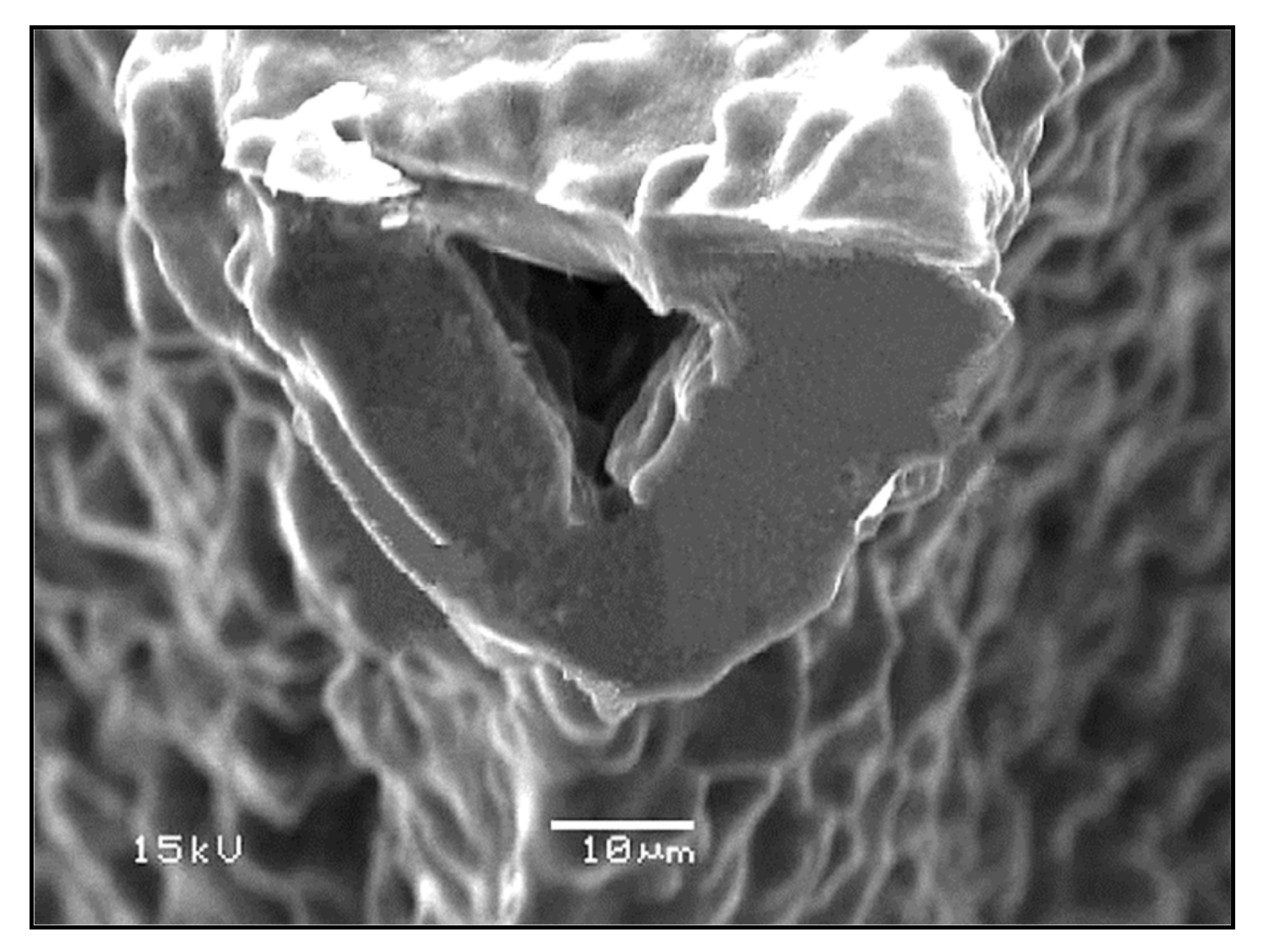 Materials 14 02795 g003 Materials 14 02795 g003