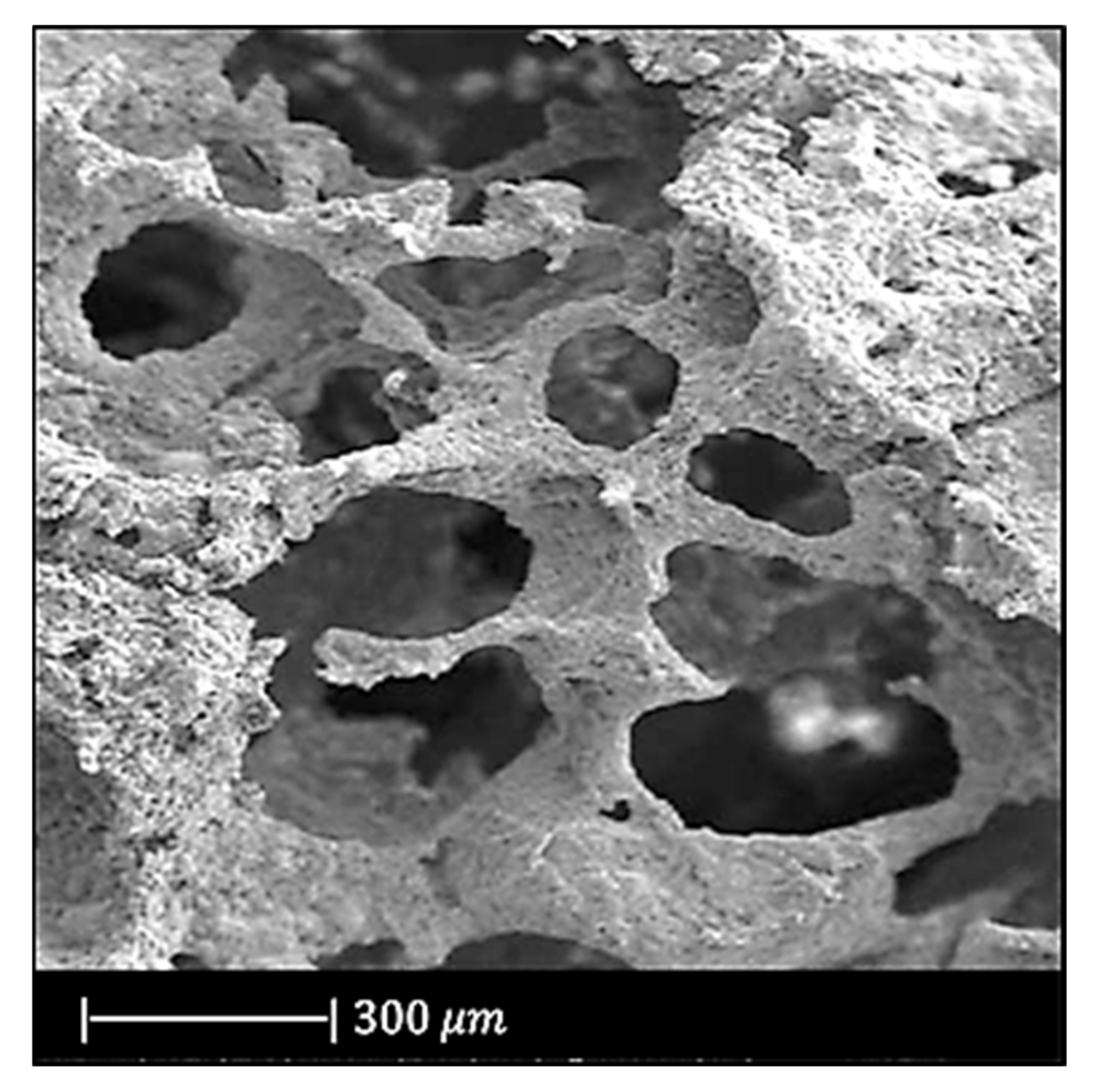 Materials 14 02795 g004 Materials 14 02795 g004