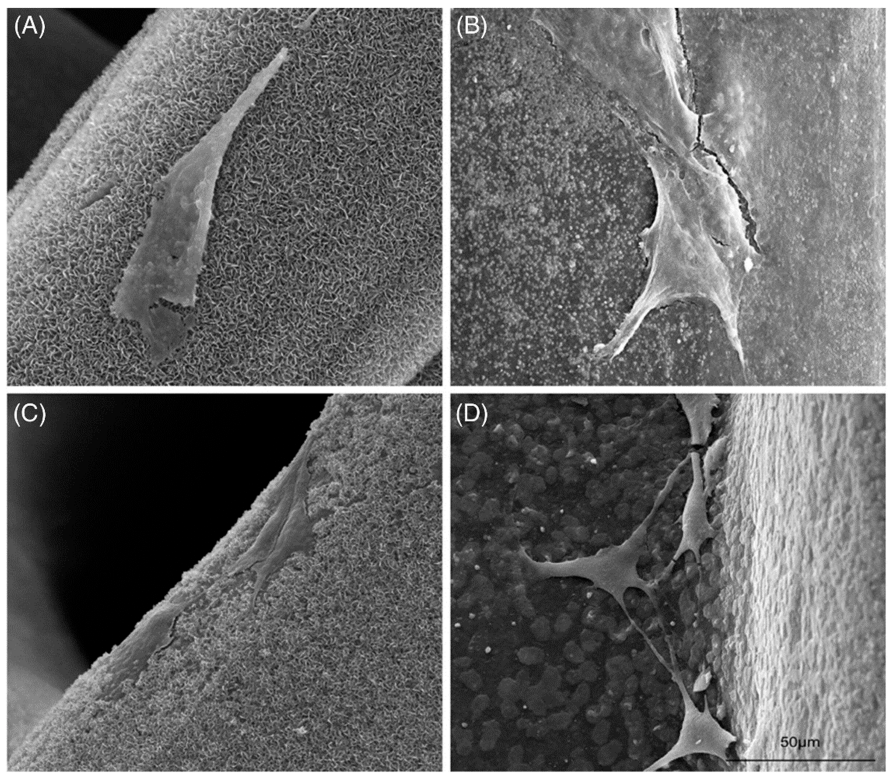 Materials 14 02797 g005