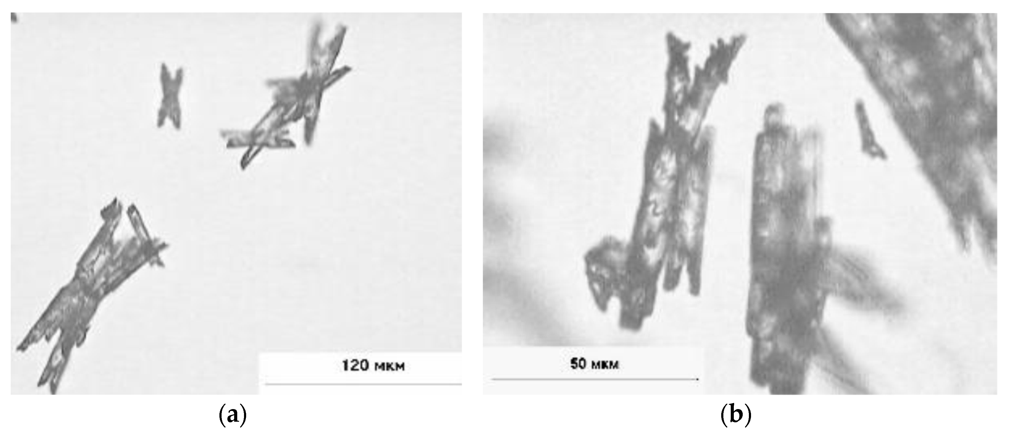 Materials 14 02818 g002