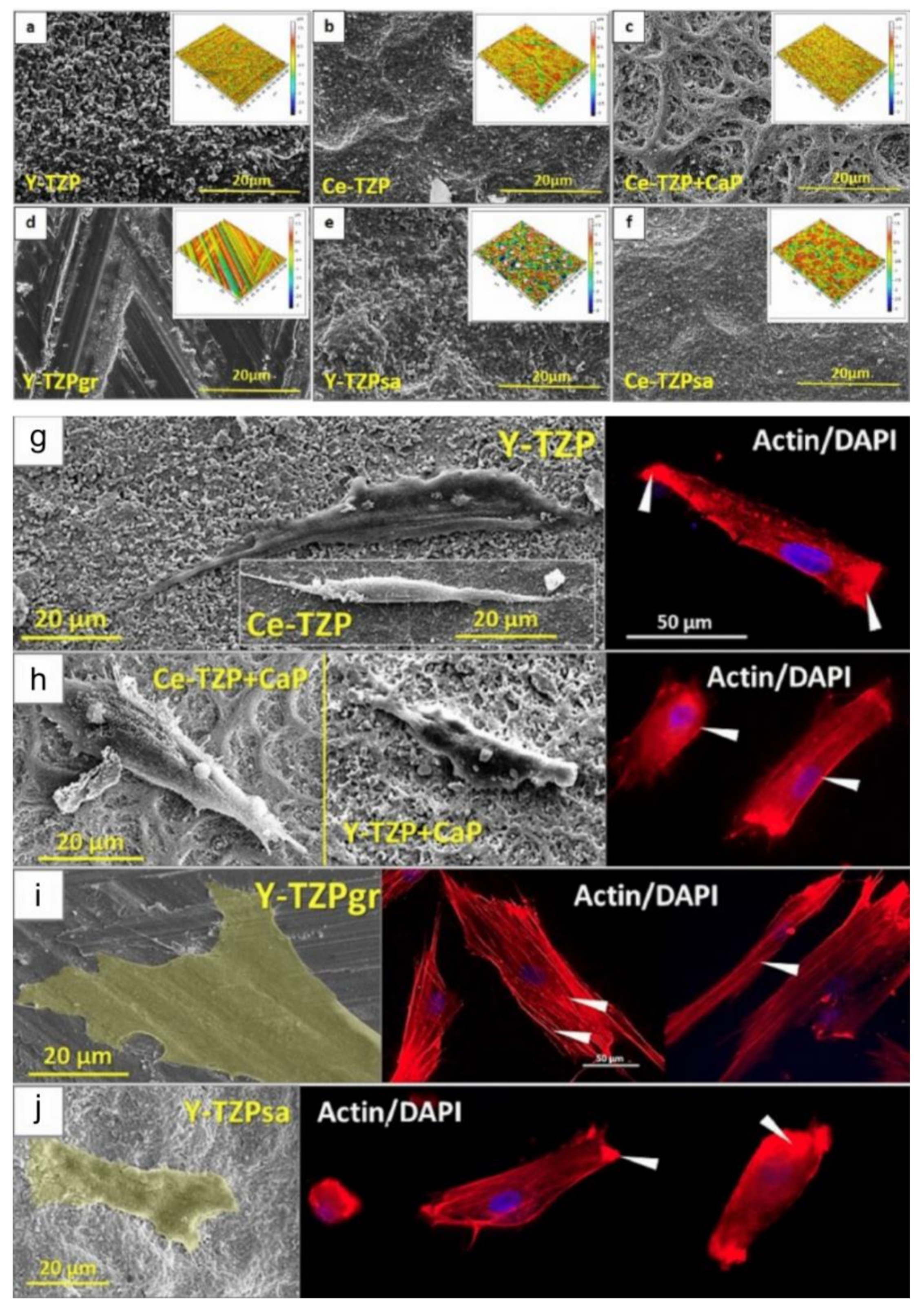 Materials 14 02825 g003