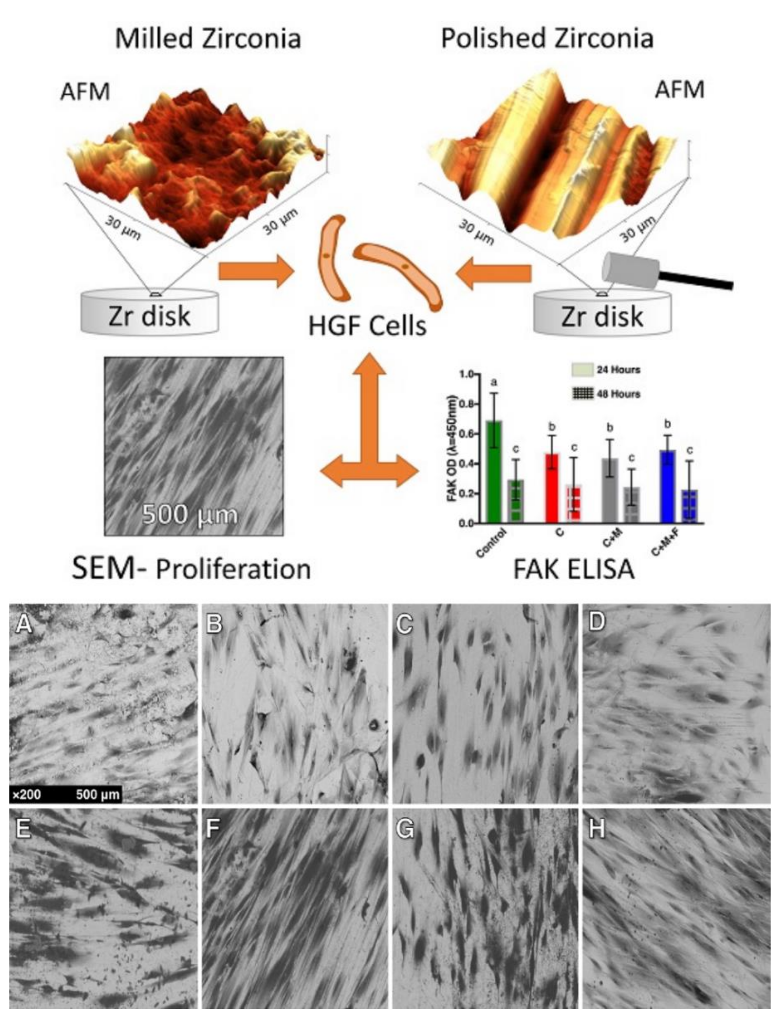 Materials 14 02825 g004