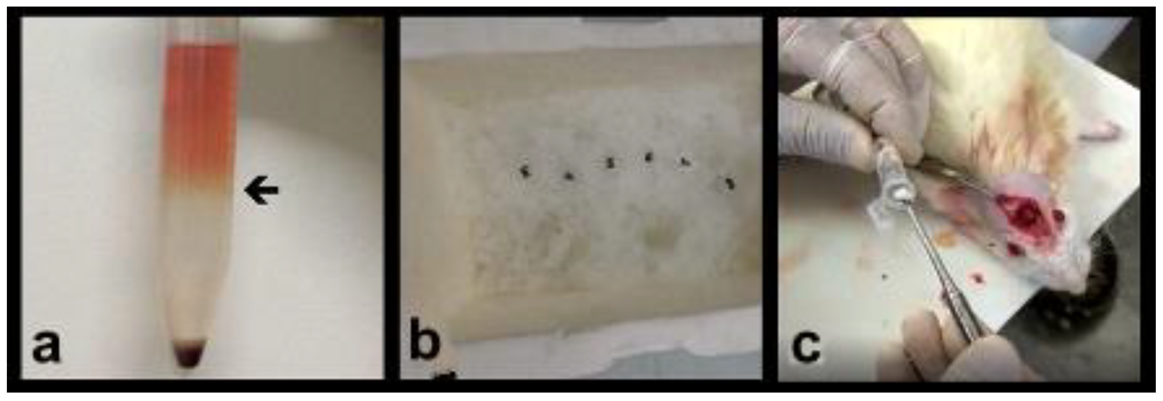 Materials 14 02854 g001