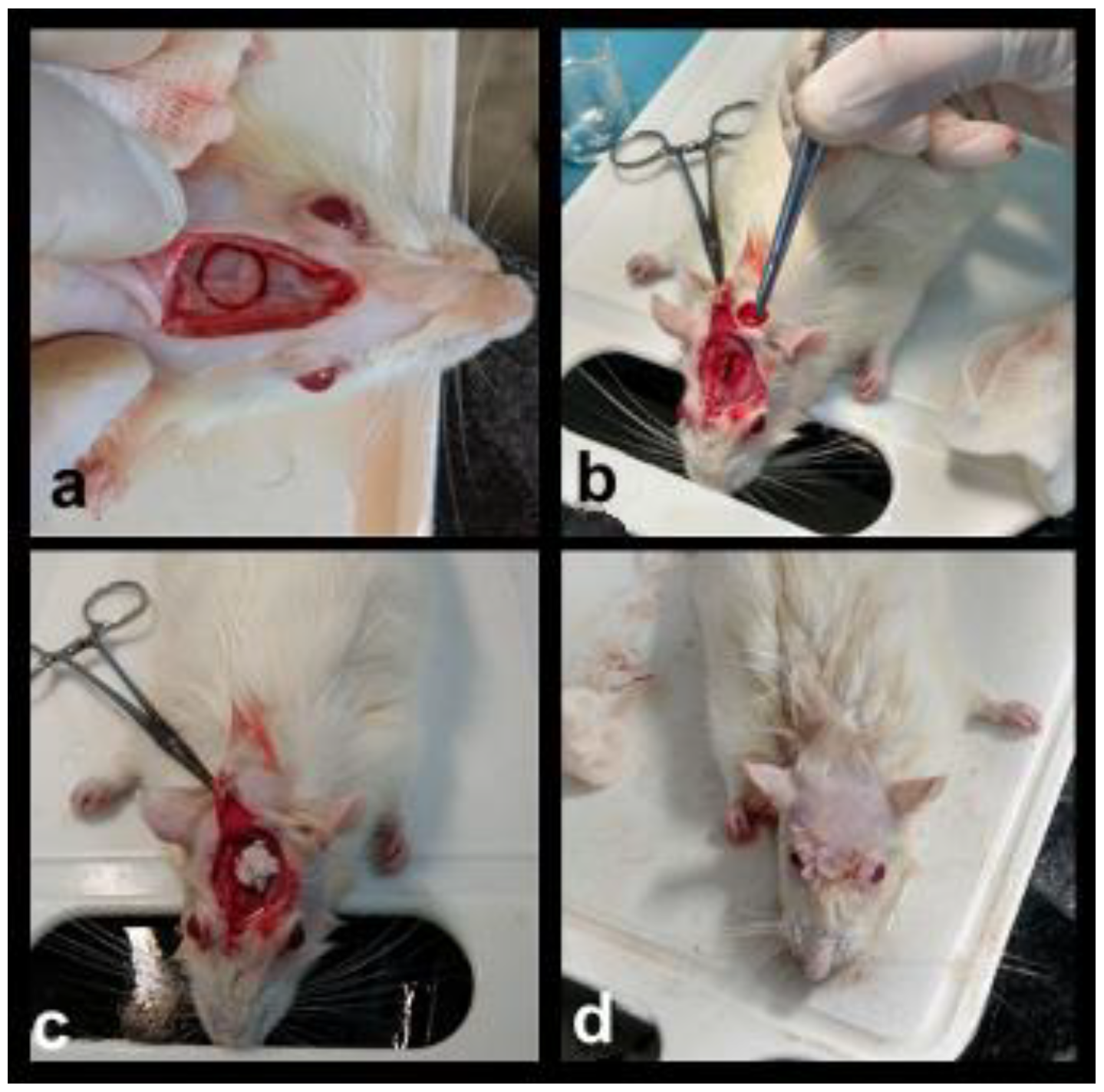 Materials 14 02854 g002