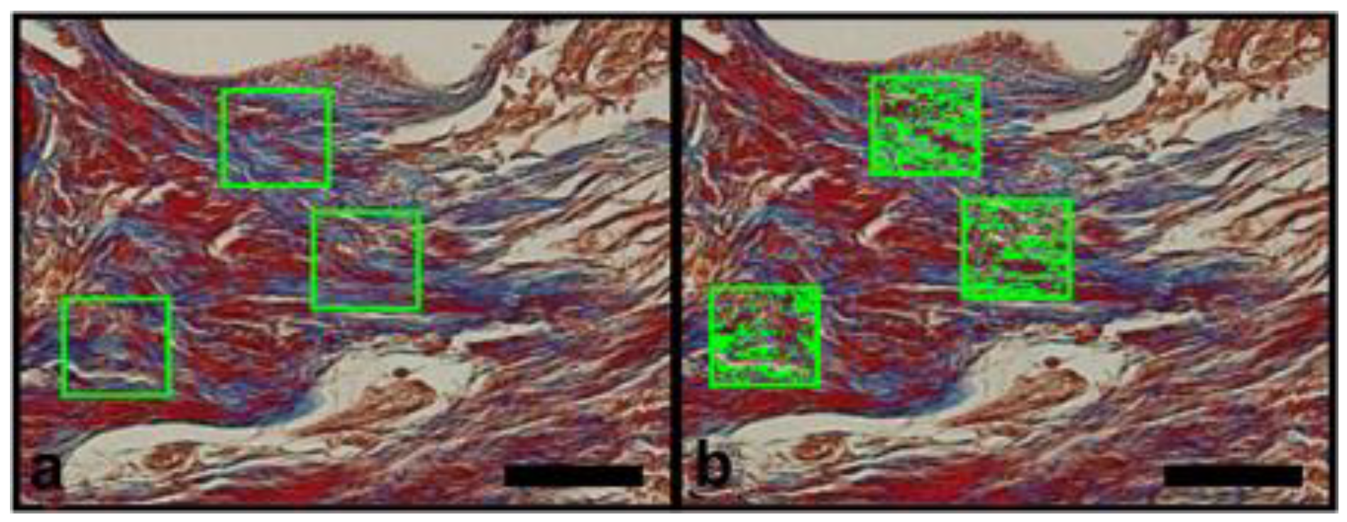 Materials 14 02854 g003