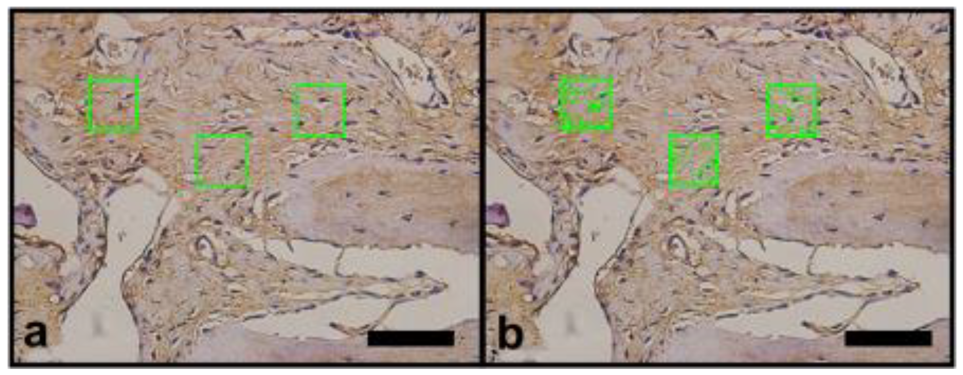 Materials 14 02854 g005
