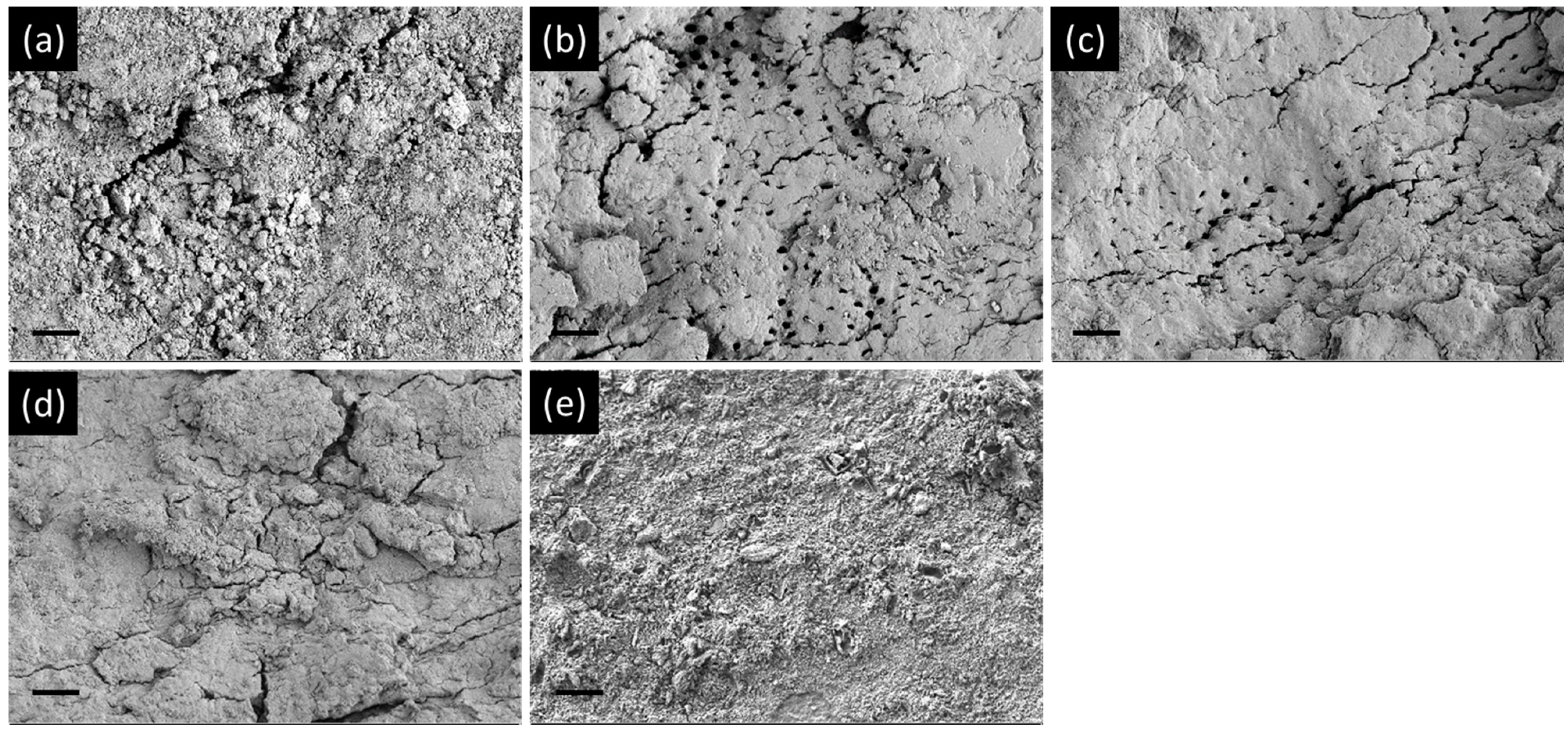 Materials 14 02863 g003 Materials 14 02863 g003