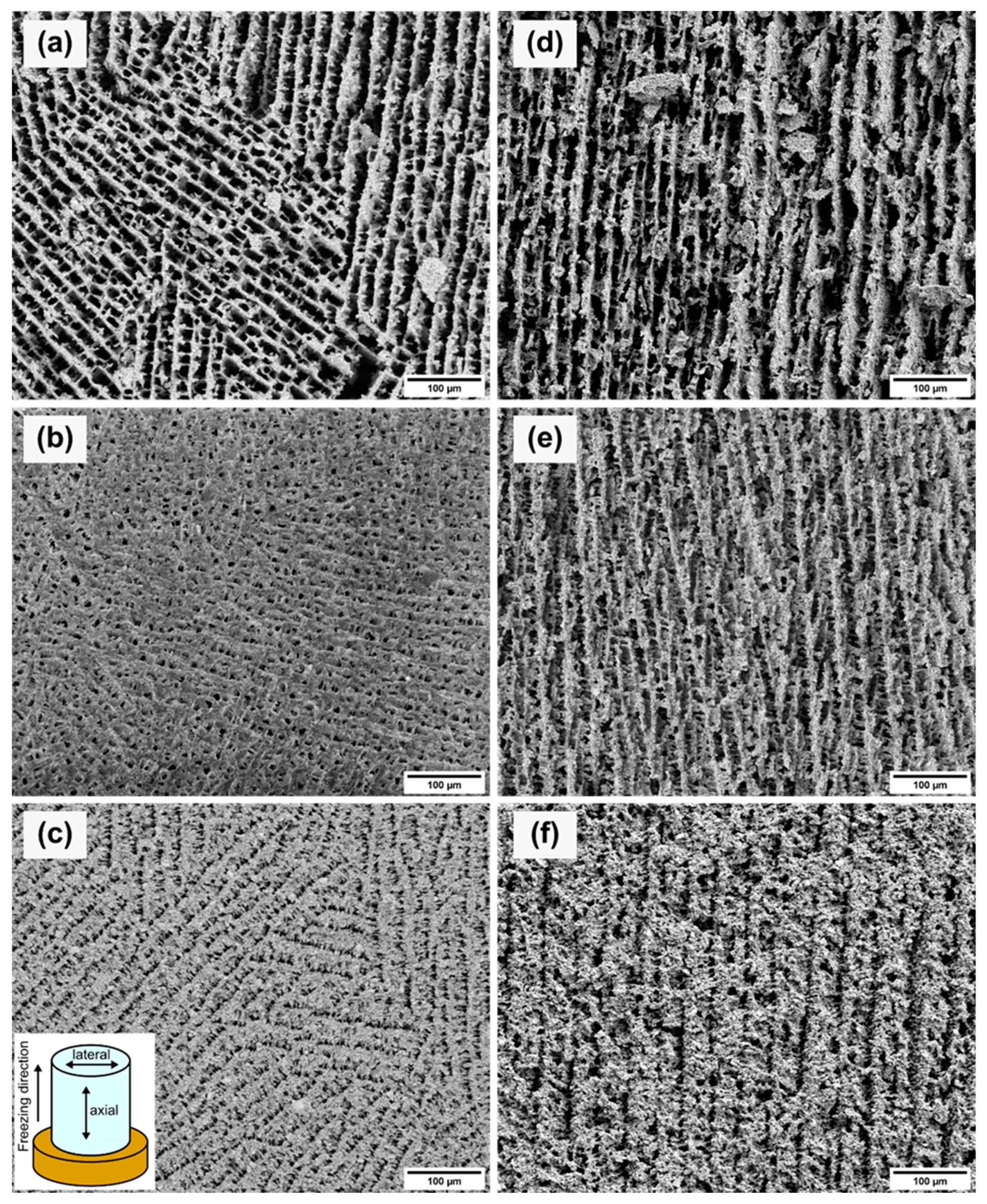 Materials 14 02864 g005