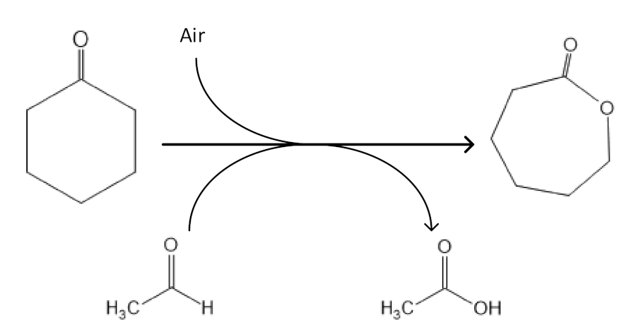 Materials 14 02881 g003