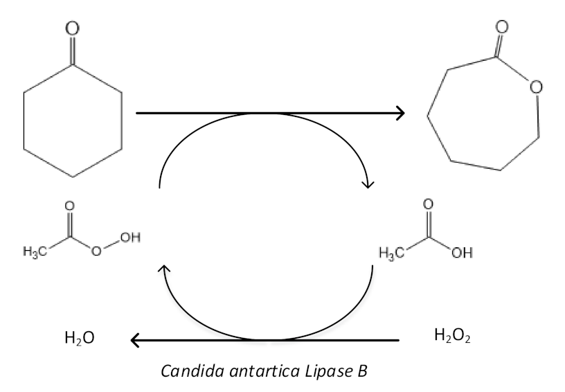 Materials 14 02881 g004