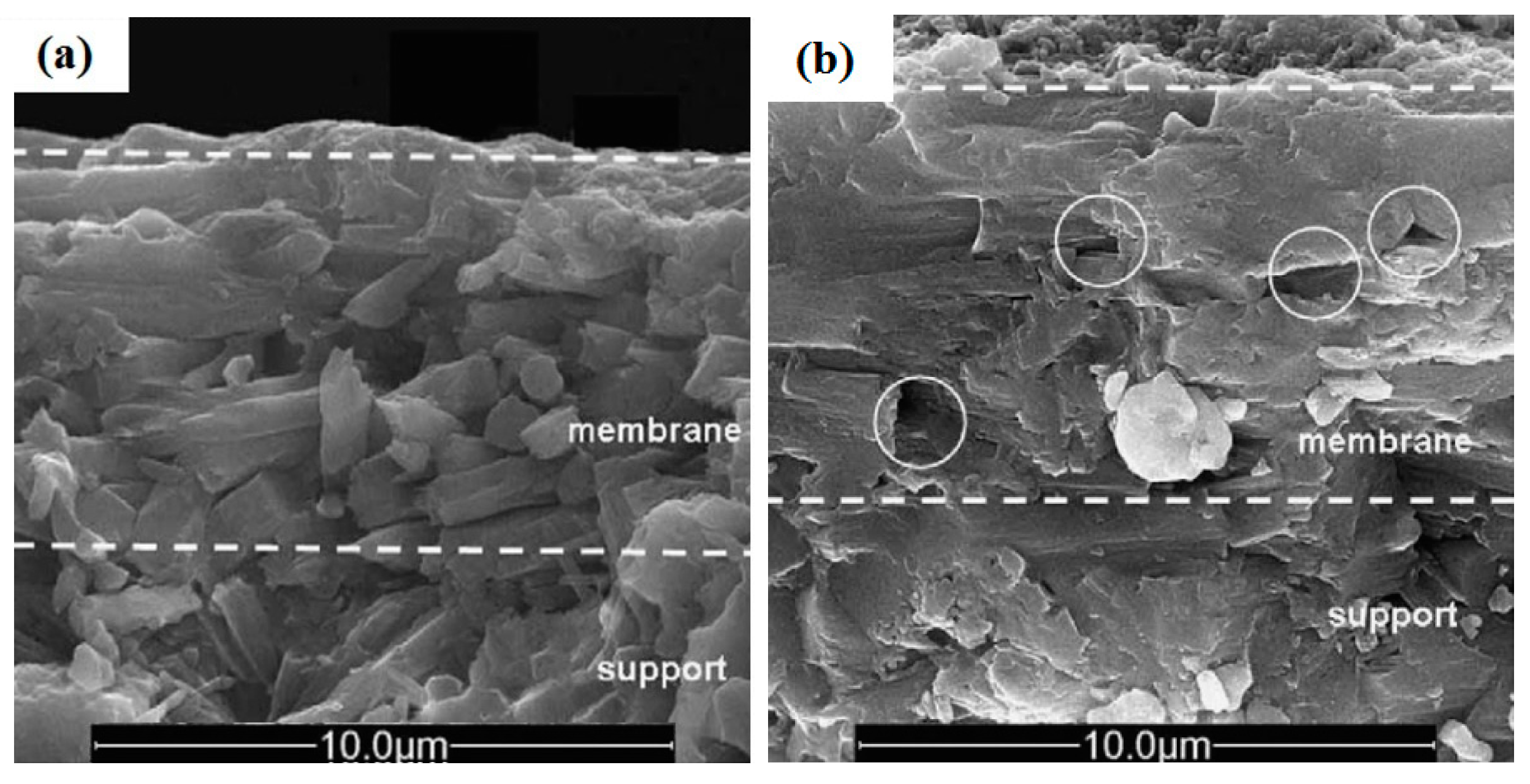 Materials 14 02890 g003