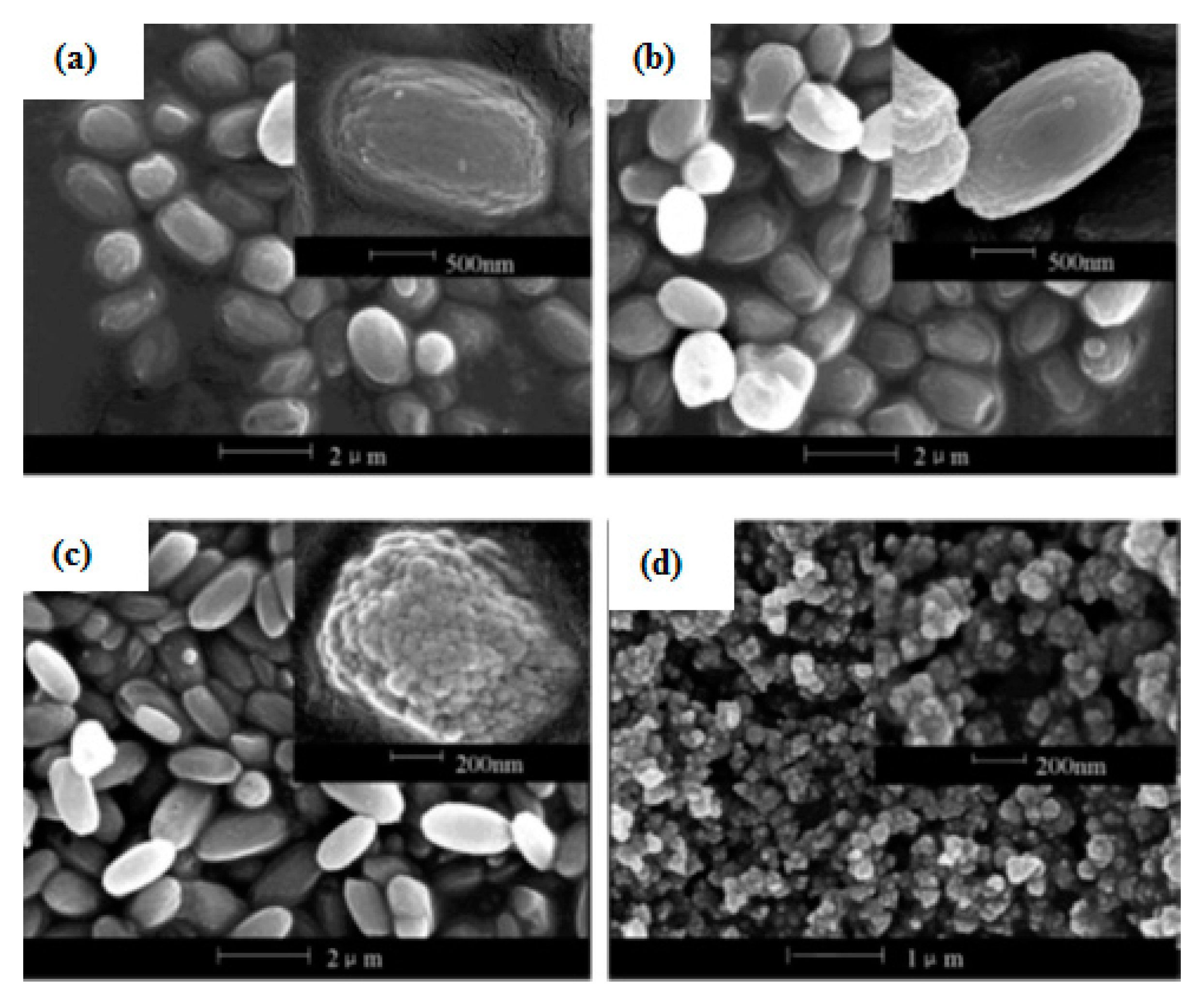Materials 14 02890 g011