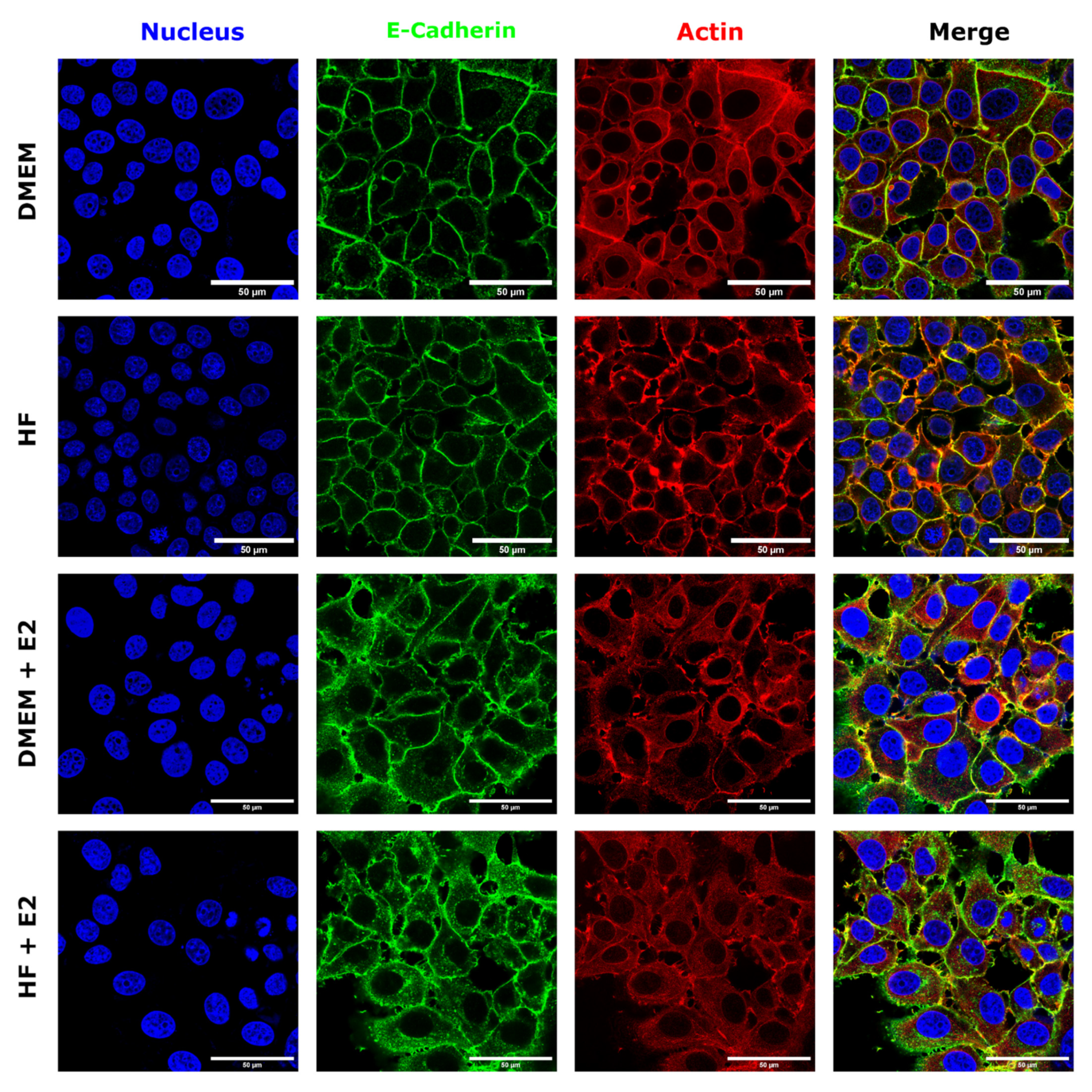 Materials 14 02897 g006