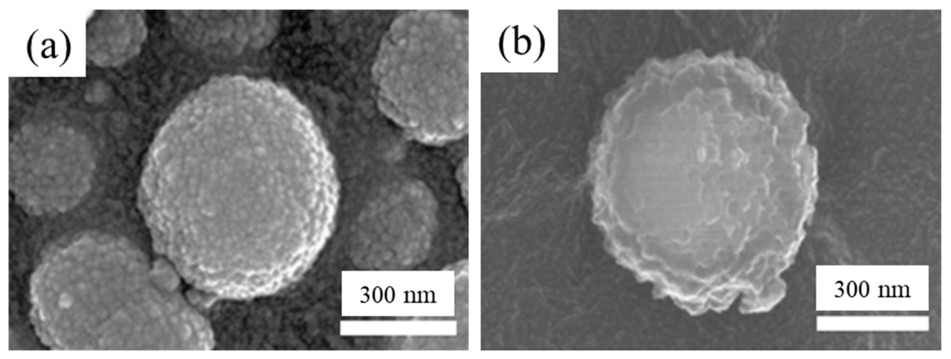 Materials 14 02900 g001