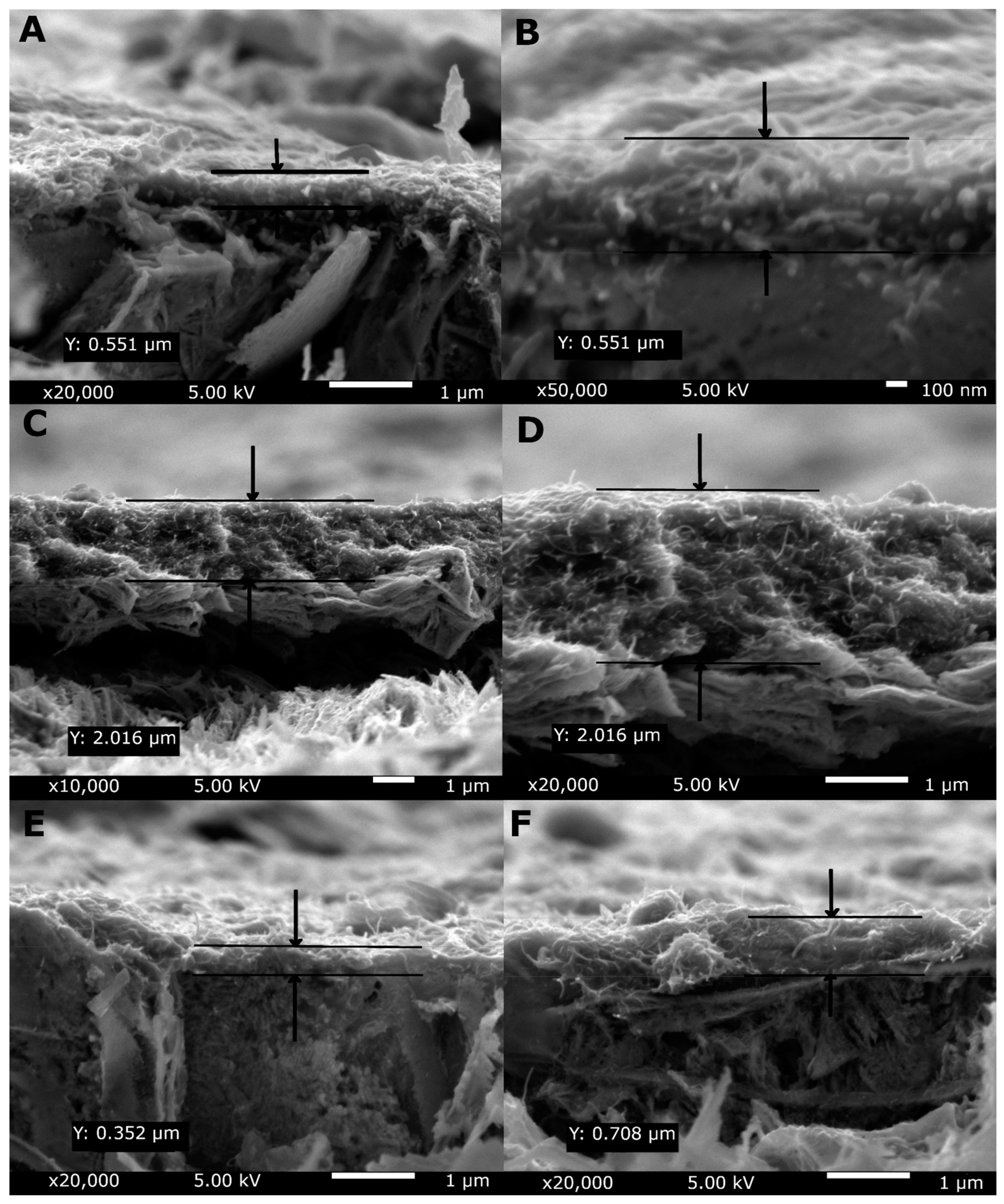 Materials 14 02905 g004 Materials 14 02905 g004