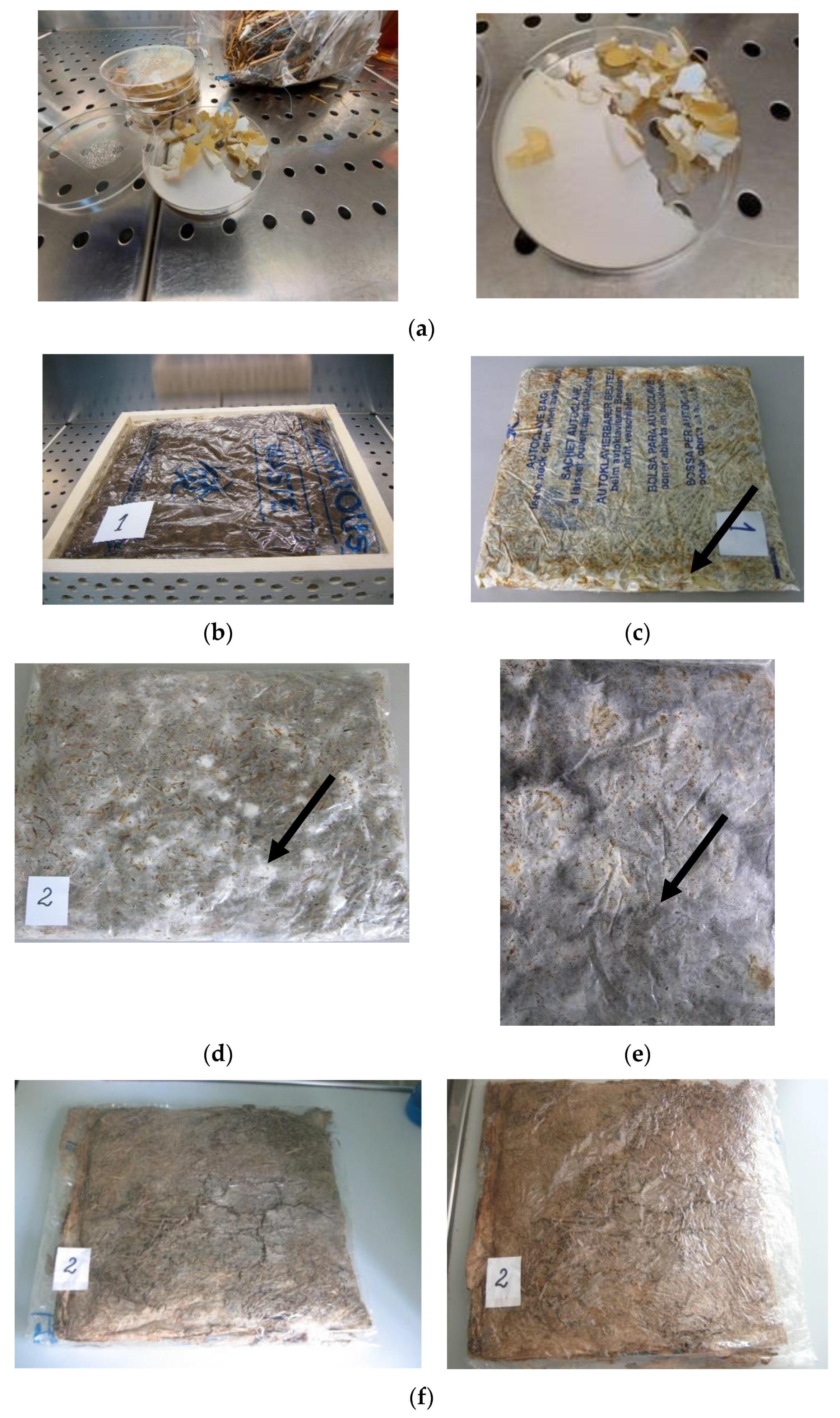 Materials 14 02906 g005a