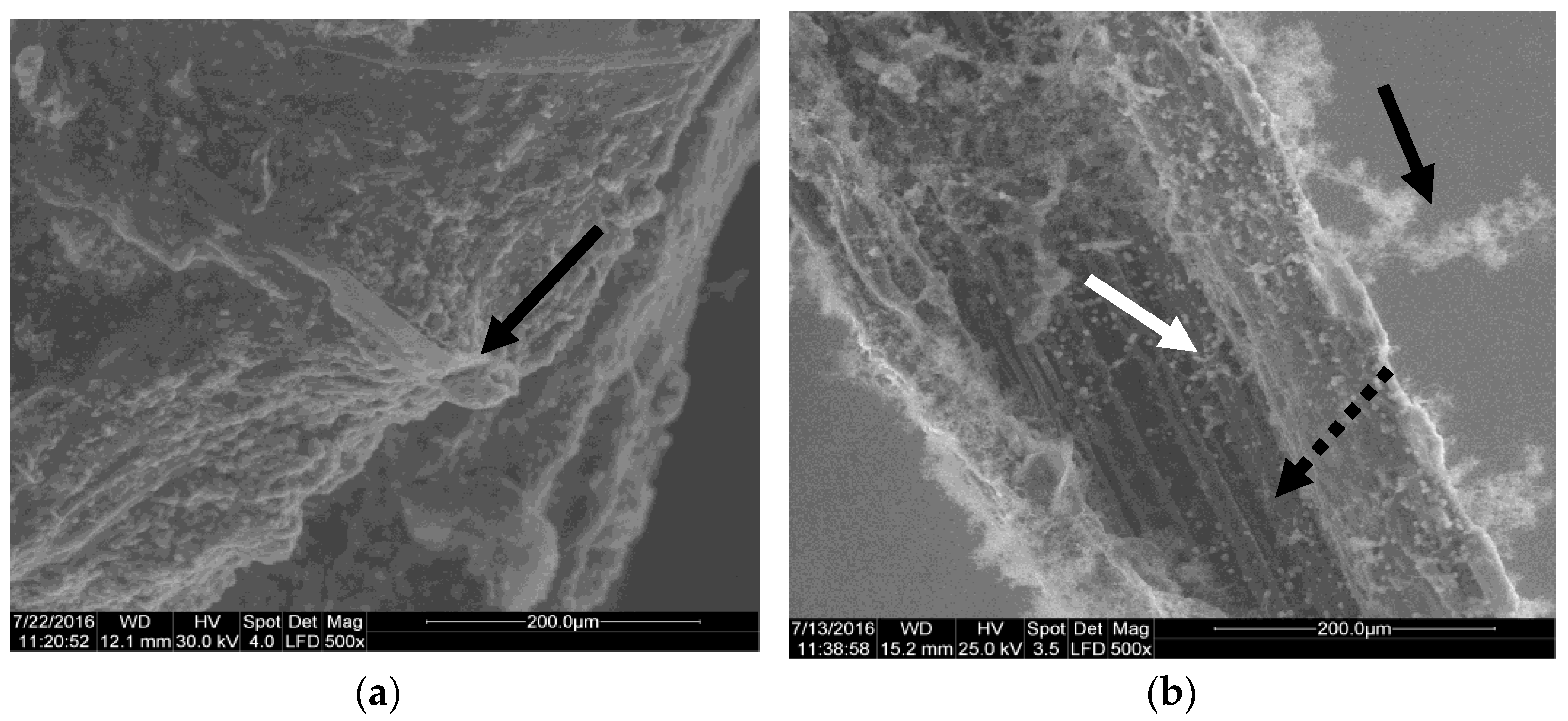 Materials 14 02906 g007a