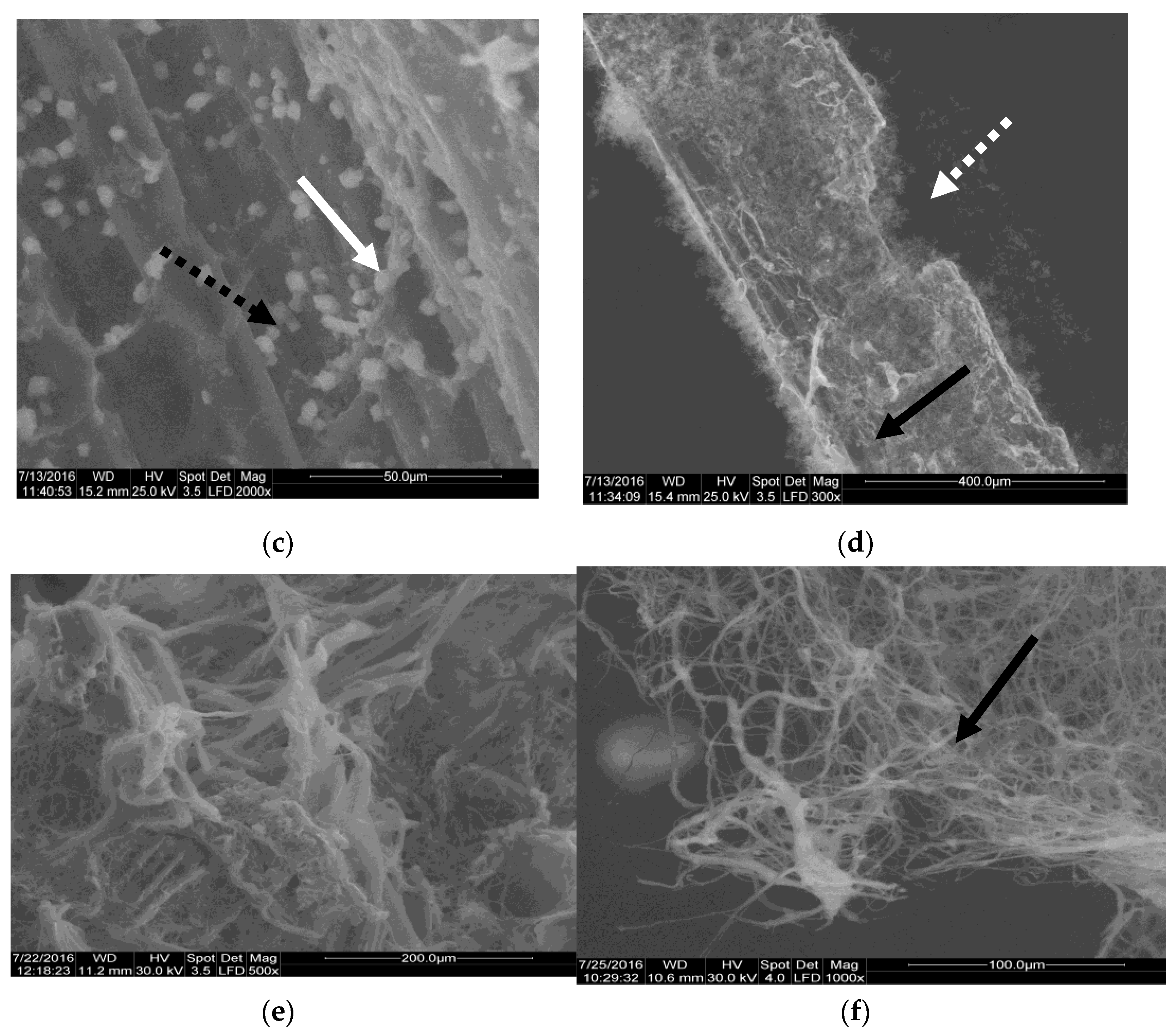 Materials 14 02906 g007b