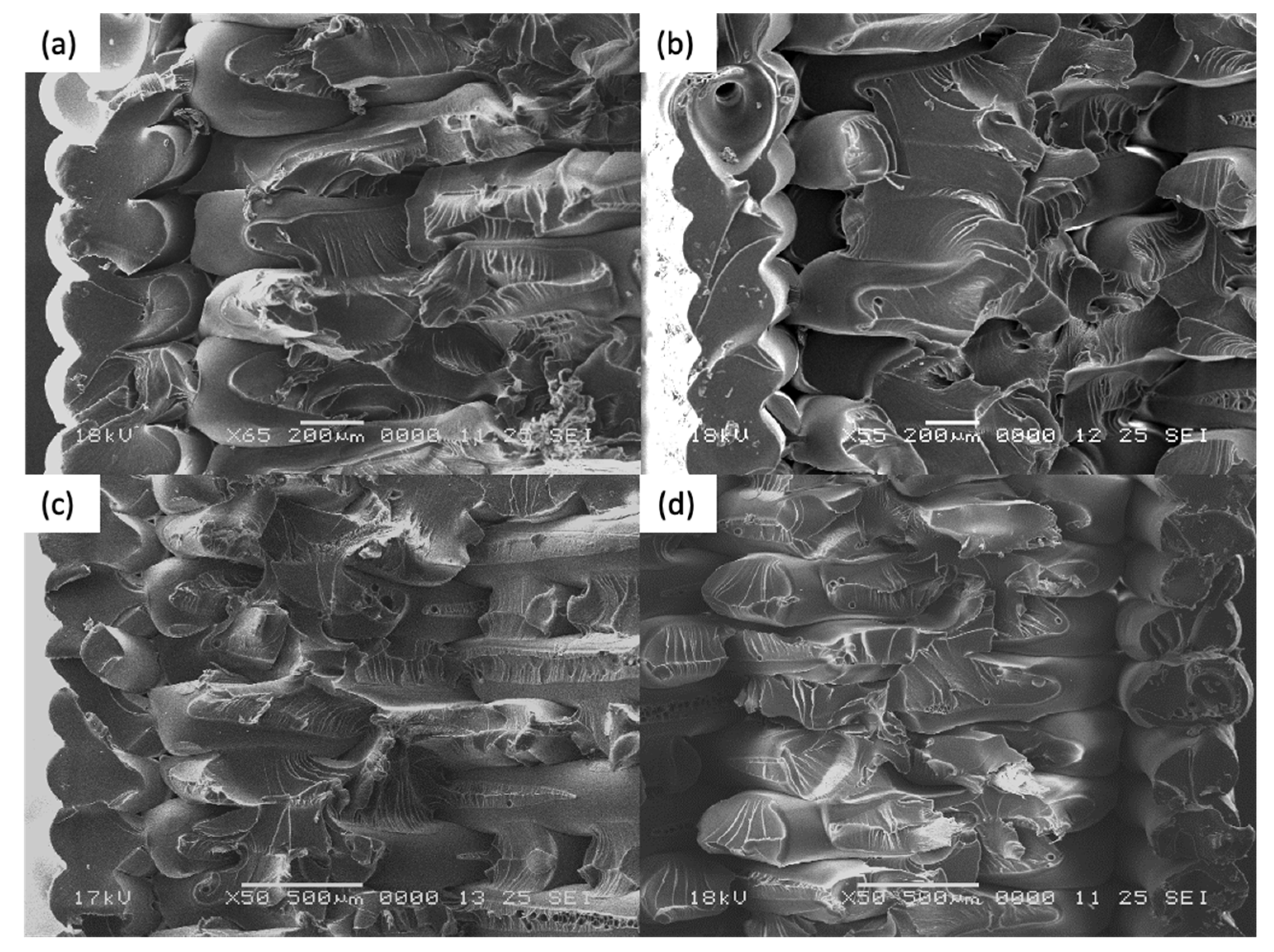 Materials 14 02907 g011