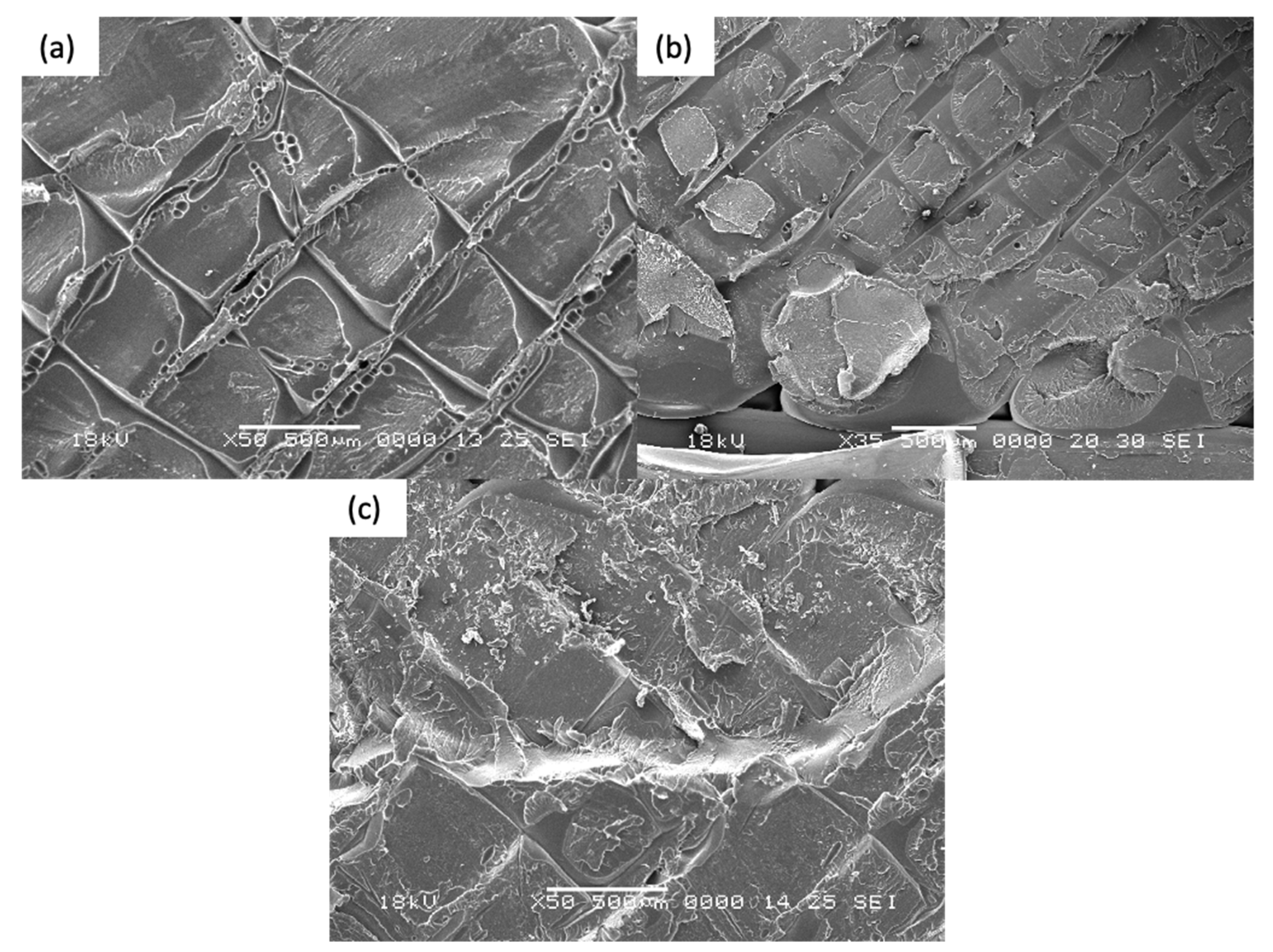 Materials 14 02907 g013