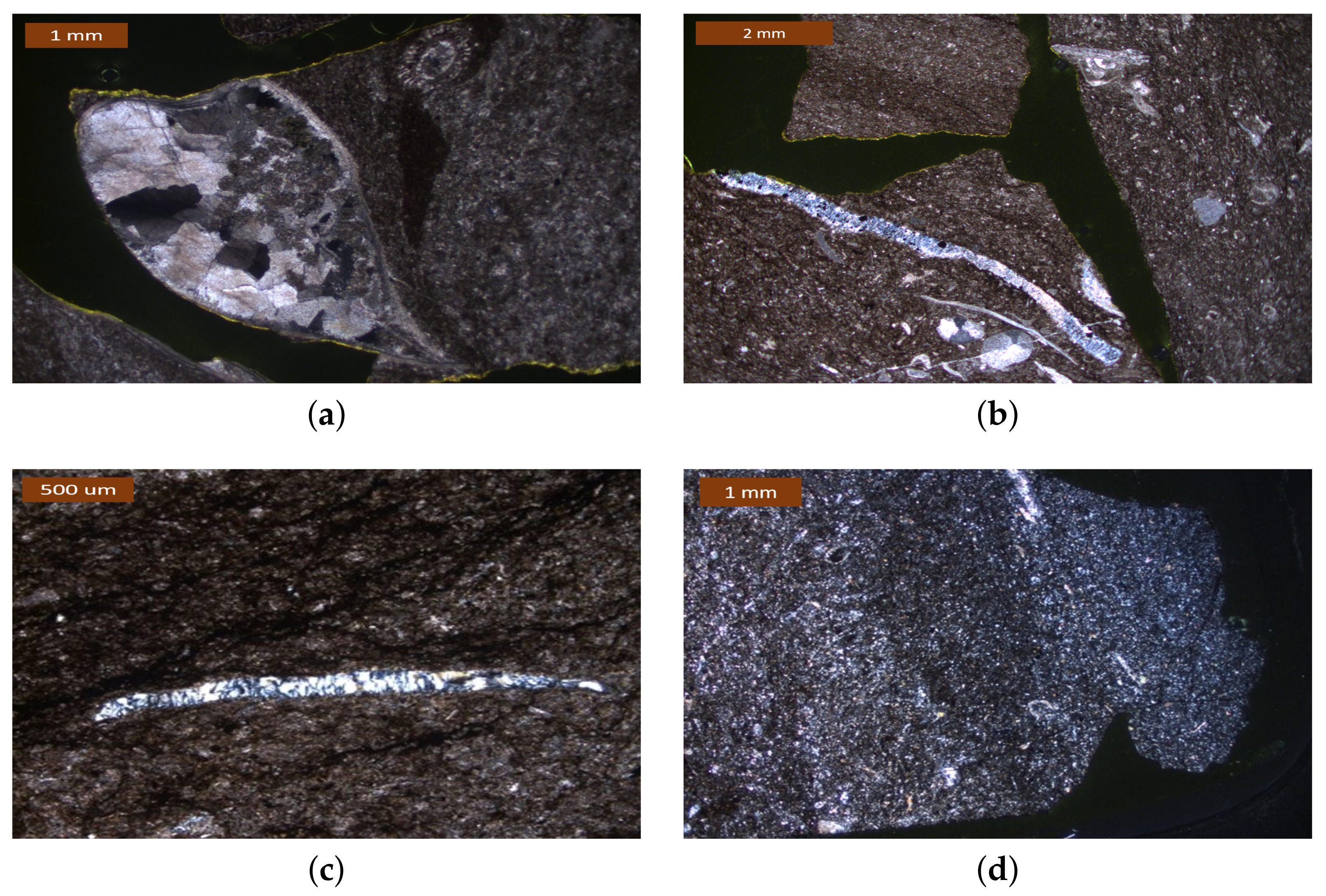 Materials 14 02908 g001 Materials 14 02908 g001
