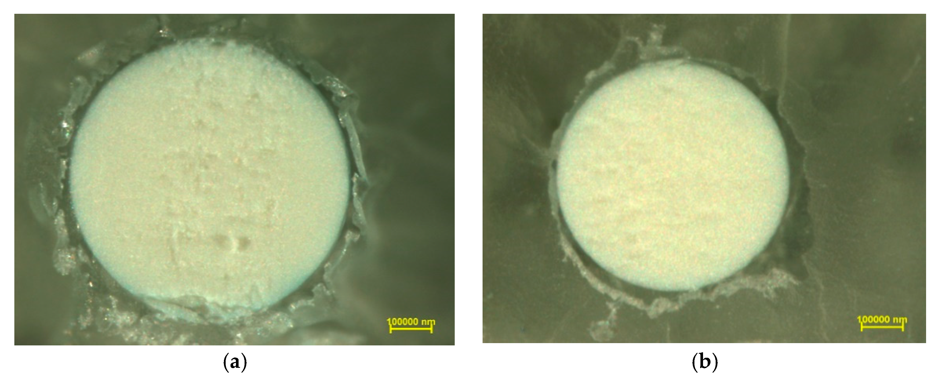 Materials 14 02915 g003