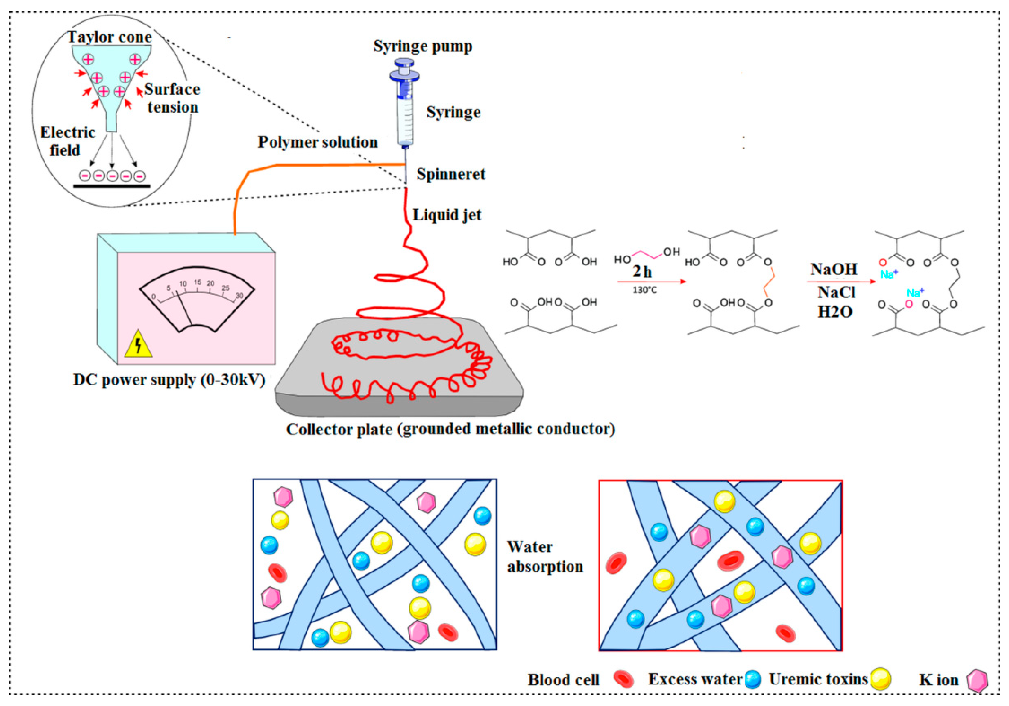 Materials 14 02939 g005