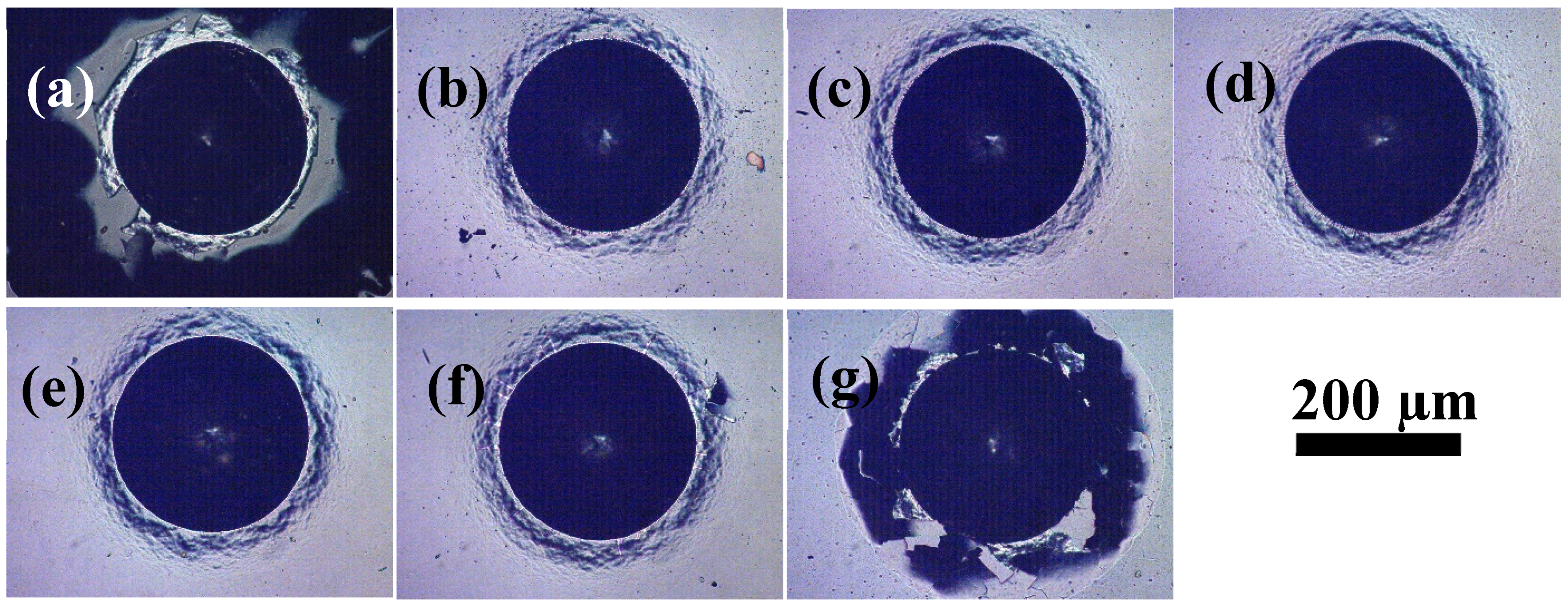 Materials 14 02954 g010