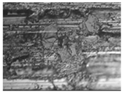 Materials 14 02960 i002