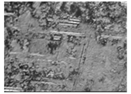 Materials 14 02960 i010