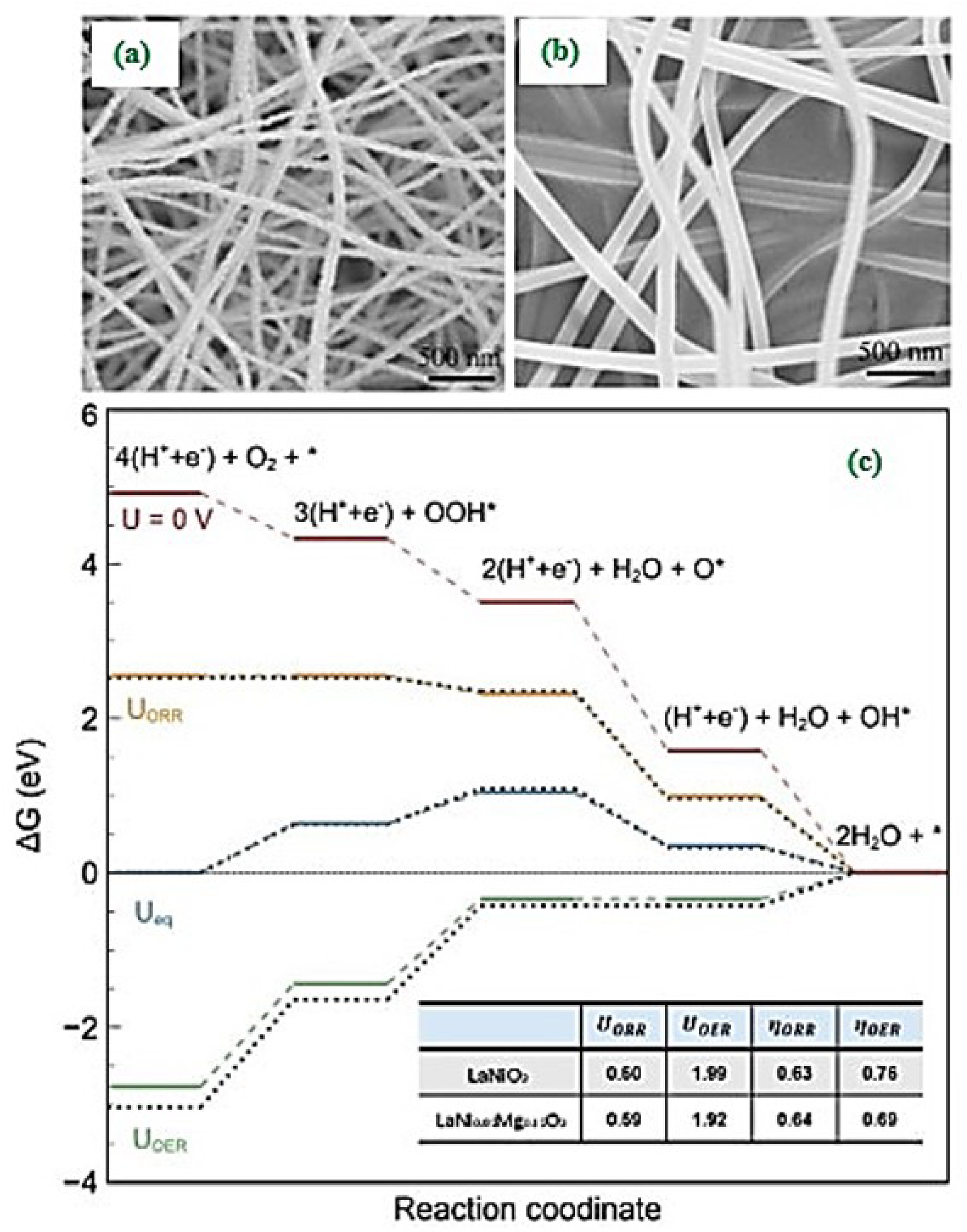 Materials 14 02976 g002